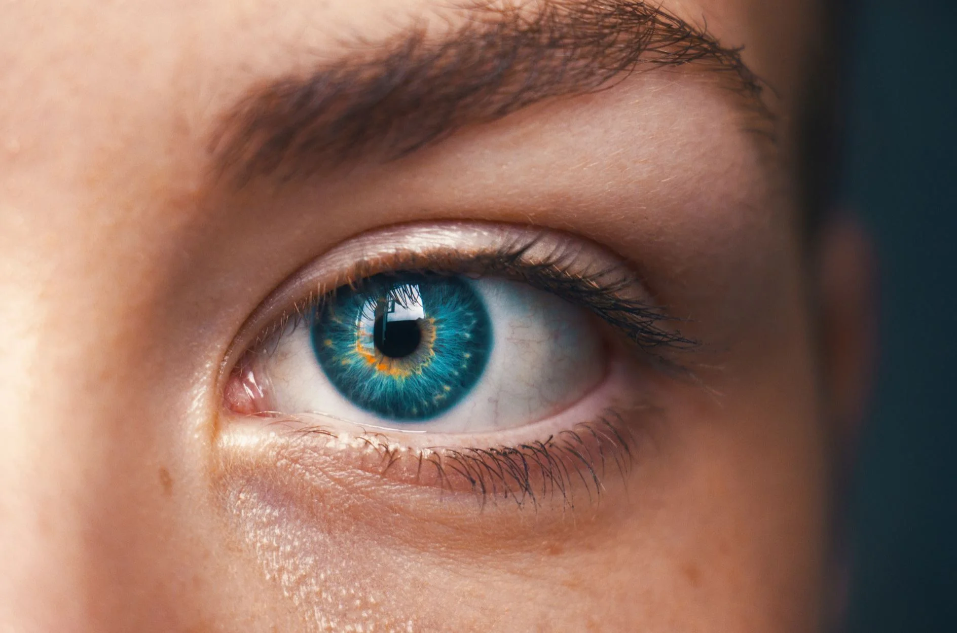 Our artificial cornea breakthrough could lead to self-assembling organs
