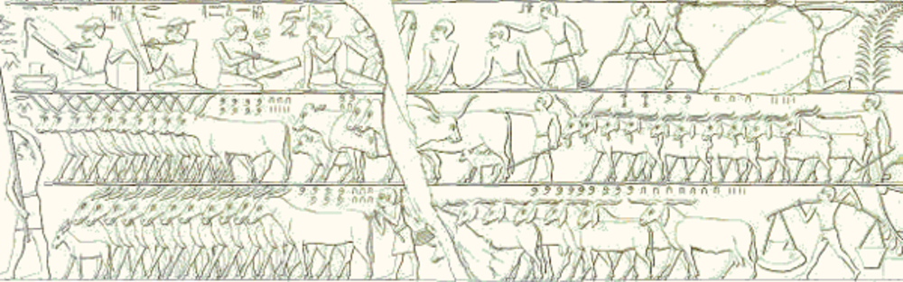 This scene depicts a cattle count (copied by the Egyptologist Lepsius). In the middle register we see 835 horned cattle on the left, right behind them are some 220 animals and on the right 2,235 goats. In the bottom register we see 760 donkeys on the left and 974 goats on the right. - Image Credit: Wikimedia commons , CC BY