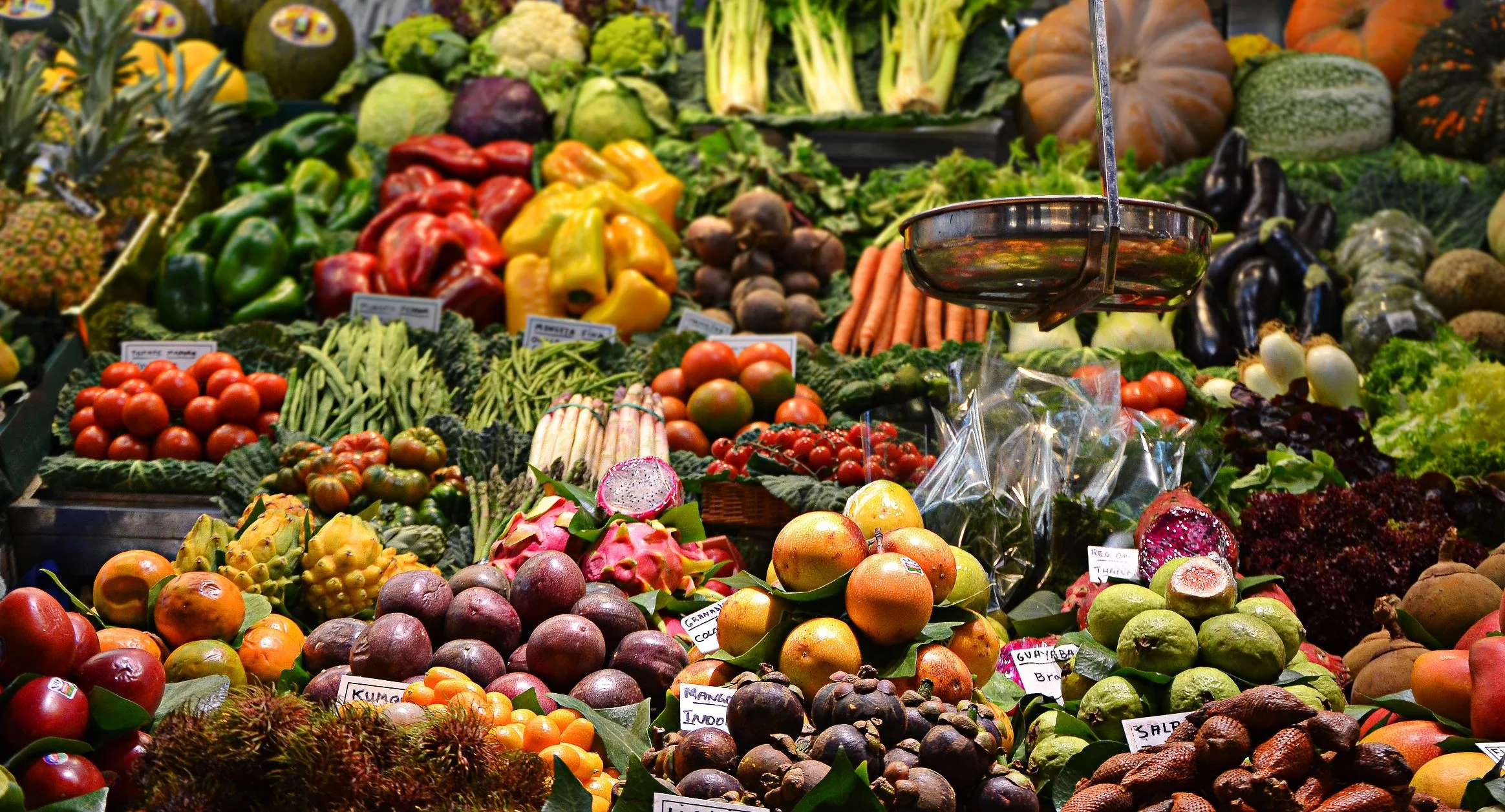 Health check: can eating certain foods make you smarter?