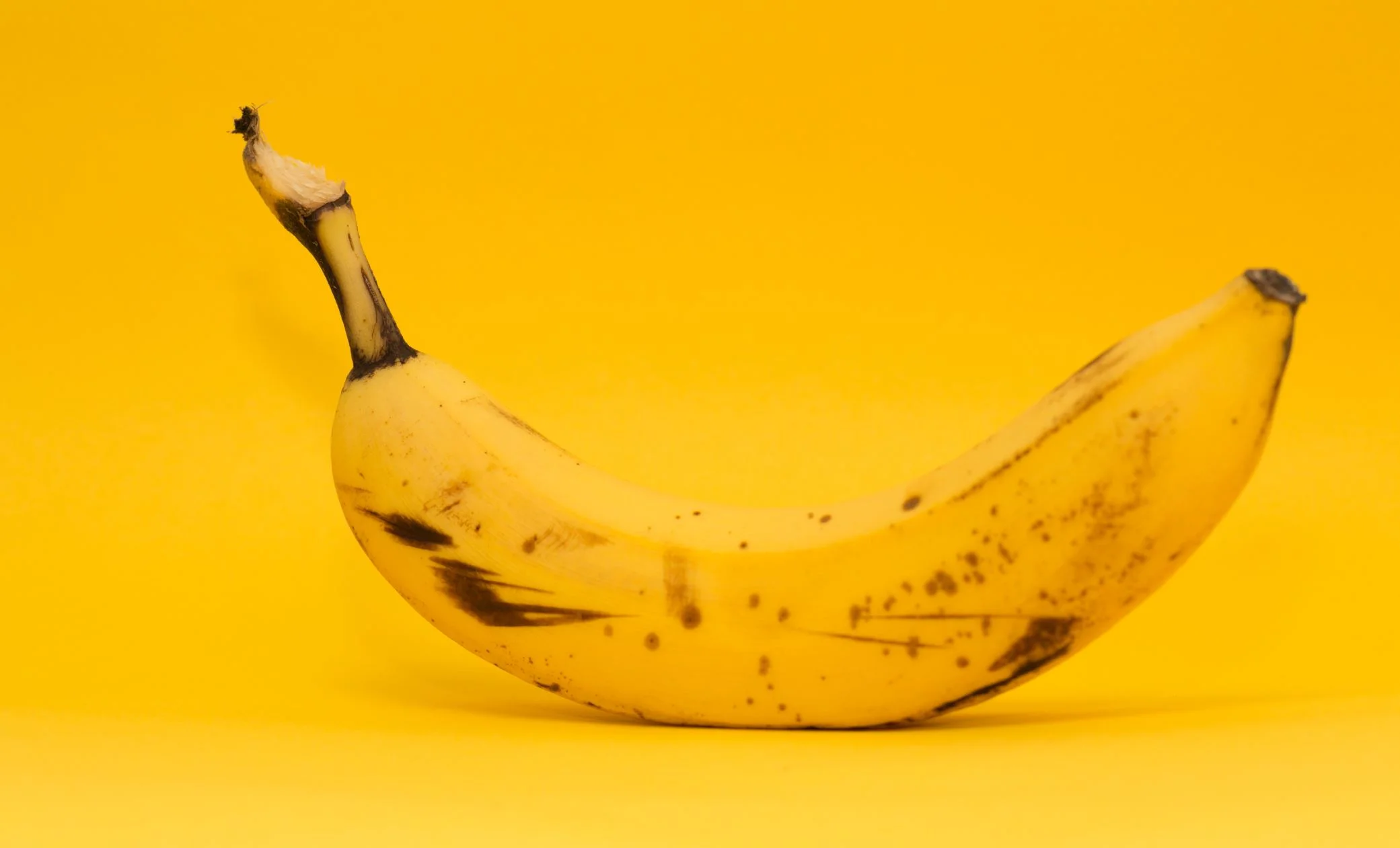 The quest to save the banana from extinction