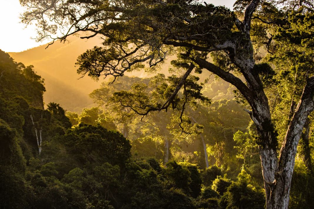 Stunning nature scene - Image Credit: redcharlie via Unsplash