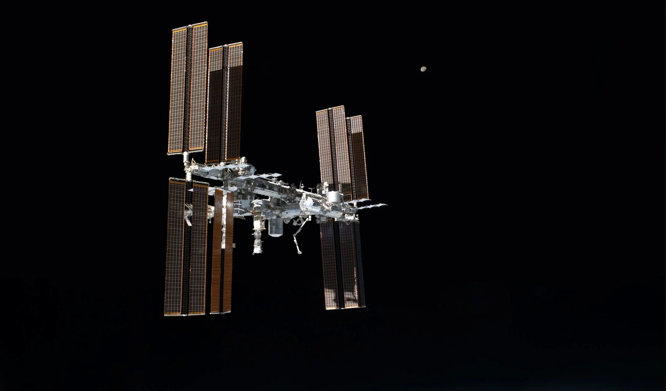 Astronauts Could Rely on Algae as the Perfect Life Support Partner