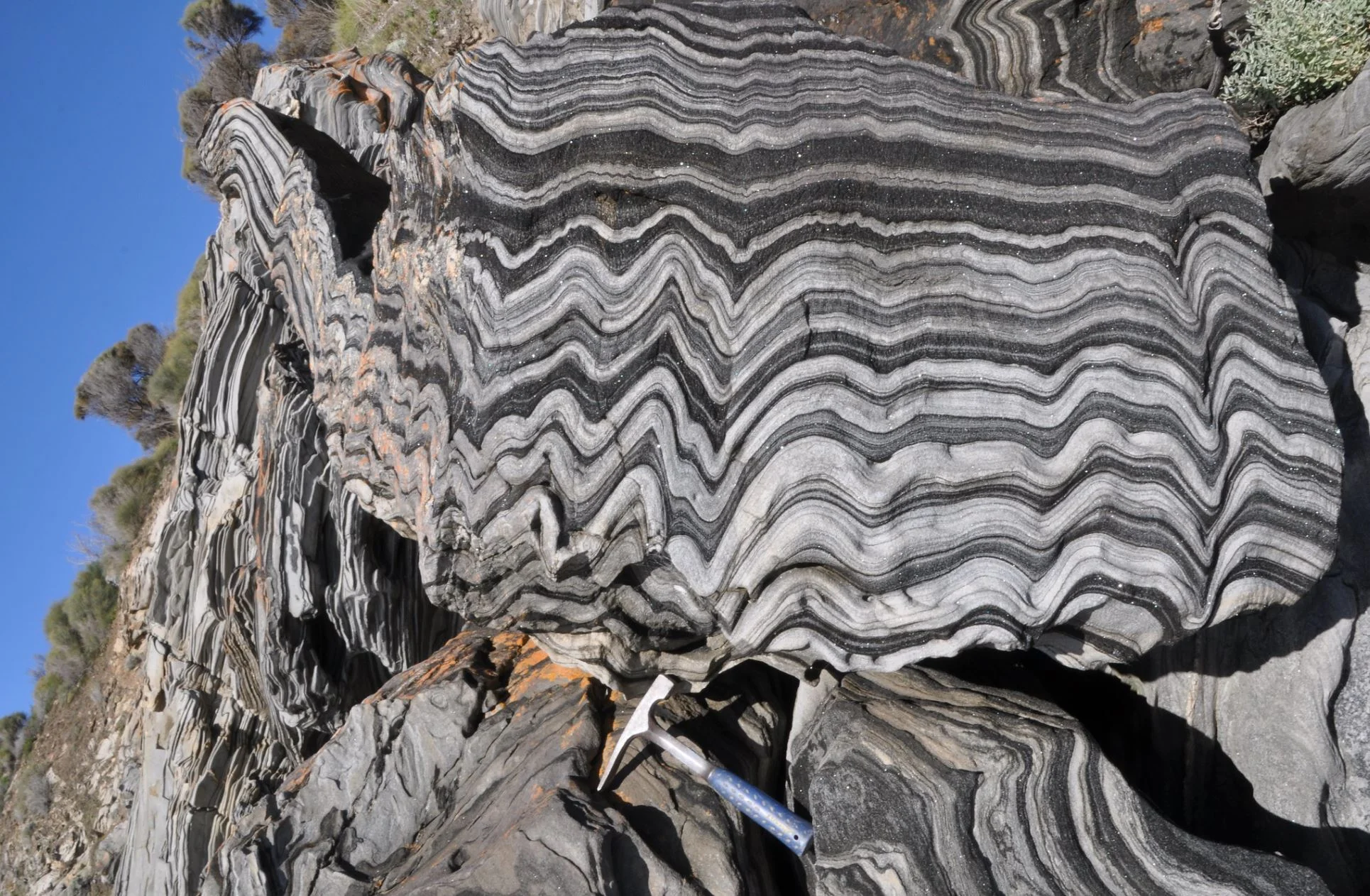 How Earth’s continents became twisted and contorted over millions of years