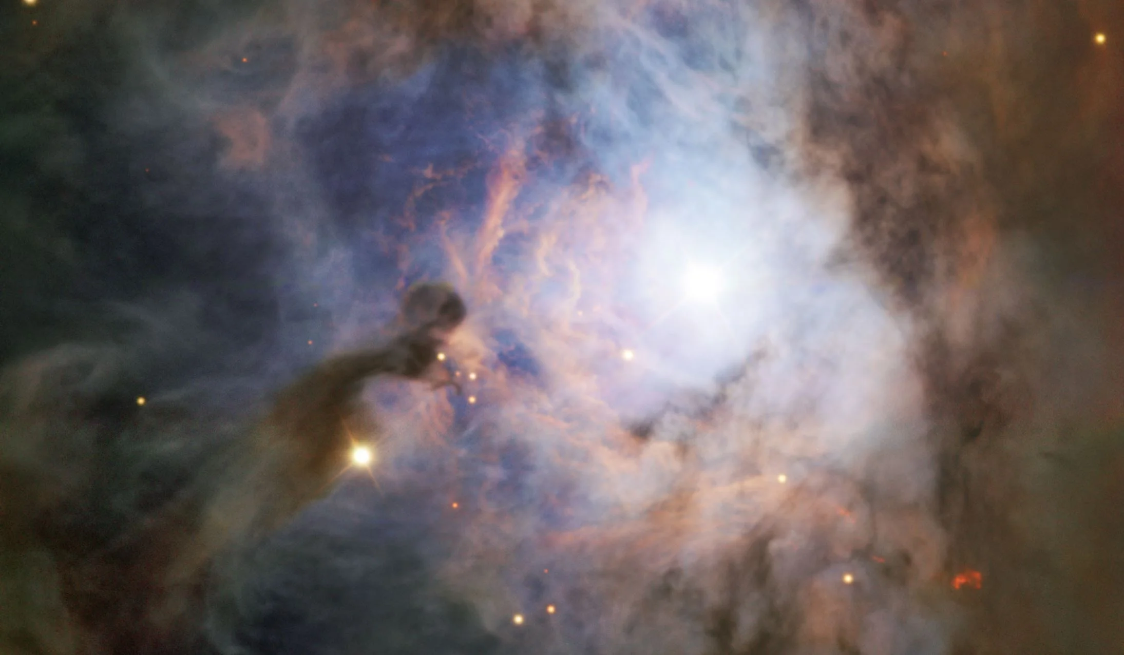 The Birth of the Hunter