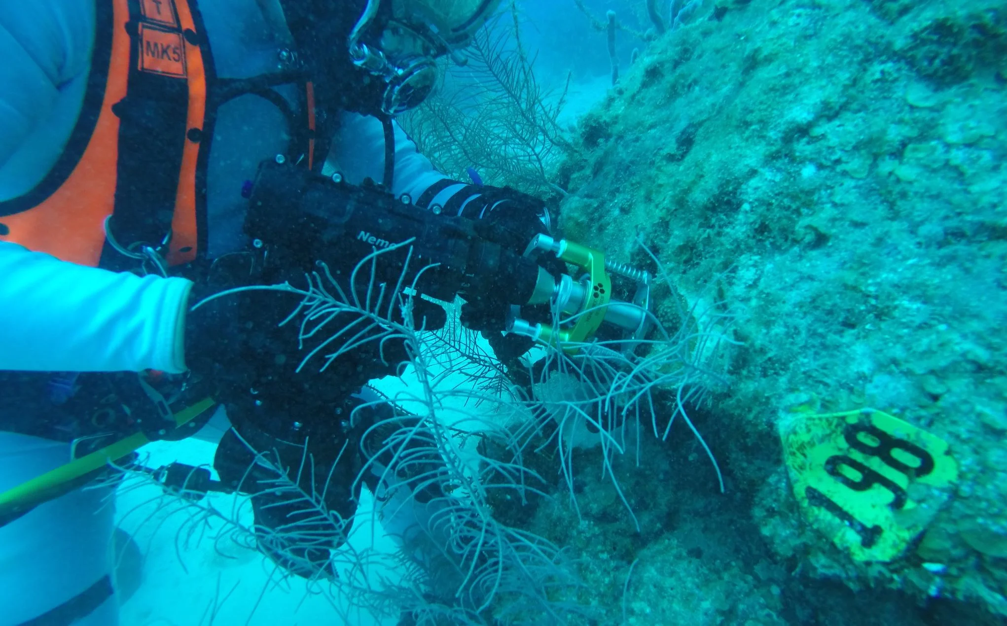 NASA Prepares for Future Moon Exploration with International Undersea Crew