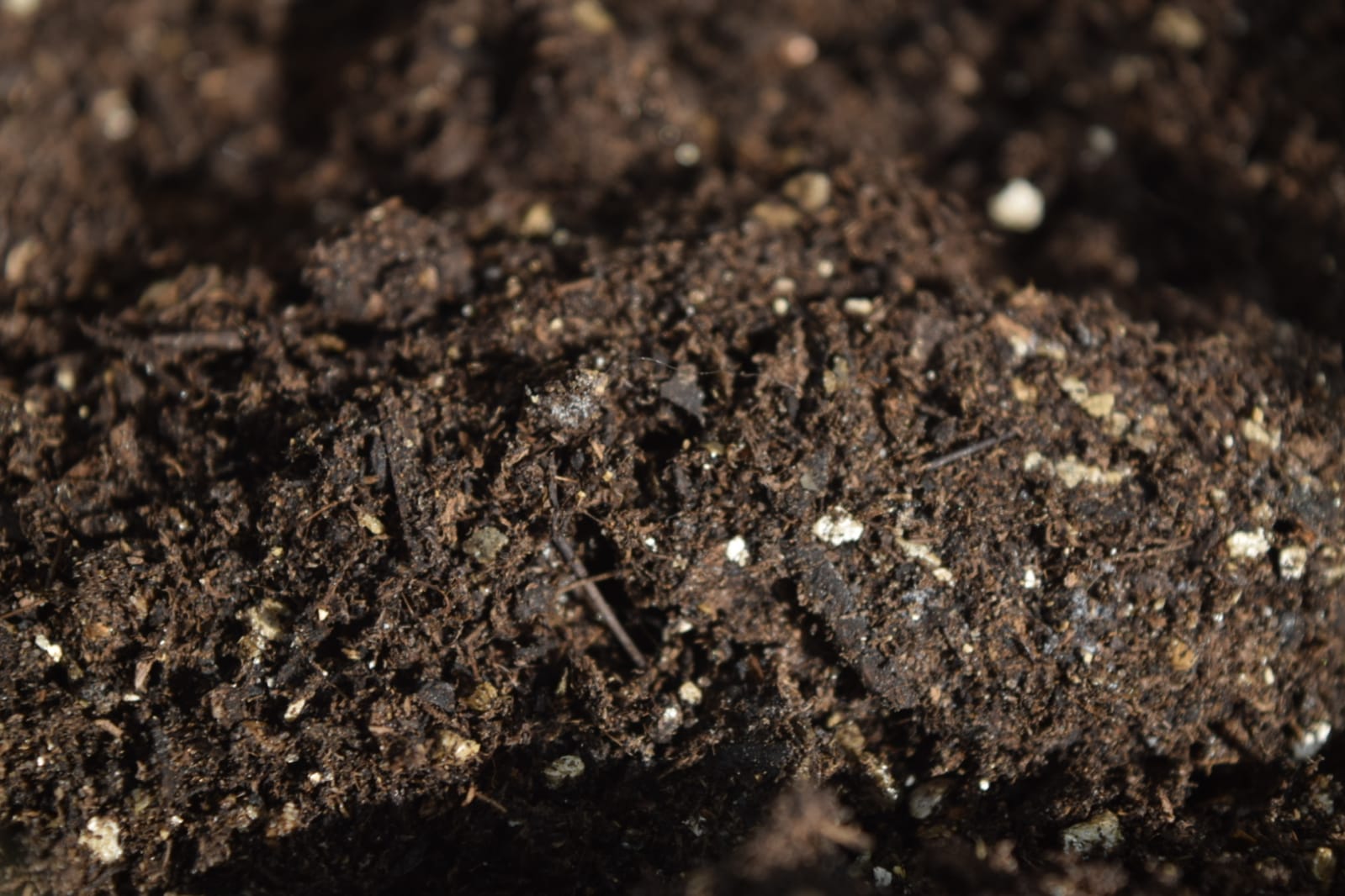 The memories retained by soil contain countless records, including a history of human encounters with the land. - Image Credit: C. Verhagen via Universal-Sci ( CC BY 2.0 )