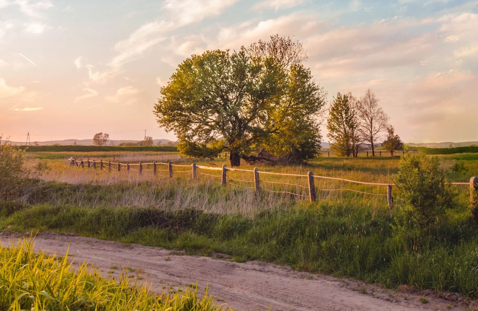 People living in rural areas may be at lower risk of Alzheimer’s disease