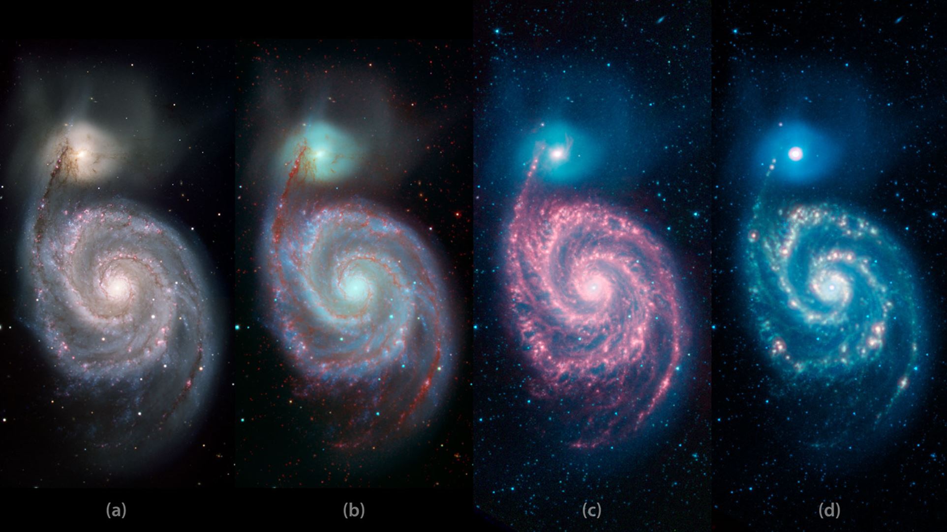 A Whirlpool 'Warhol' from NASA's Spitzer Telescope