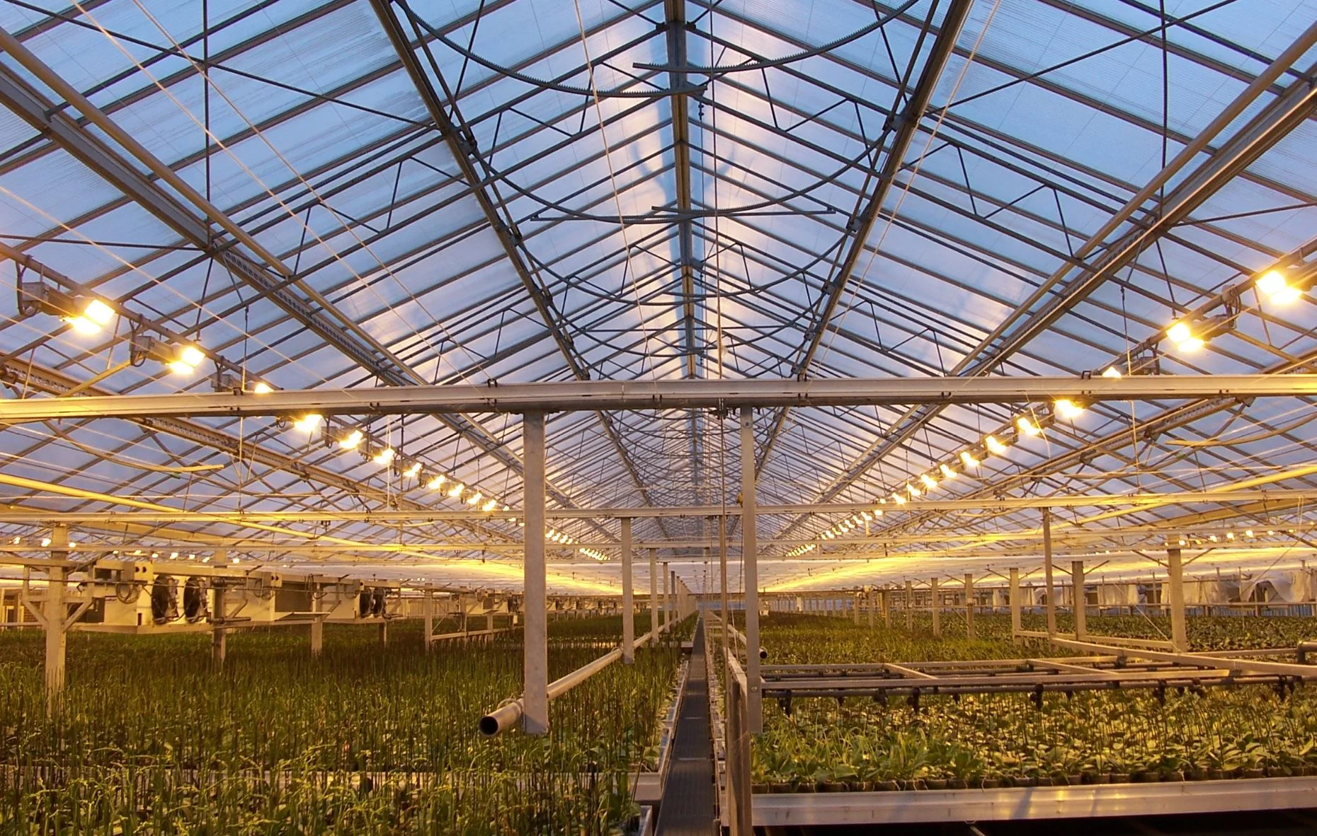 Micro-naps for plants: Flicking the lights on and off can save energy without hurting indoor agriculture harvests