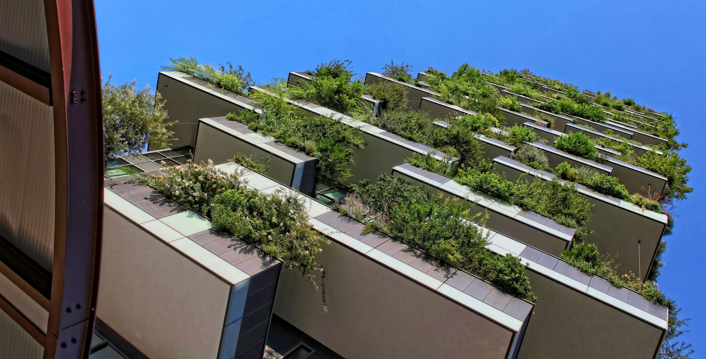 Adapting cities to a hotter world: 3 essential reads