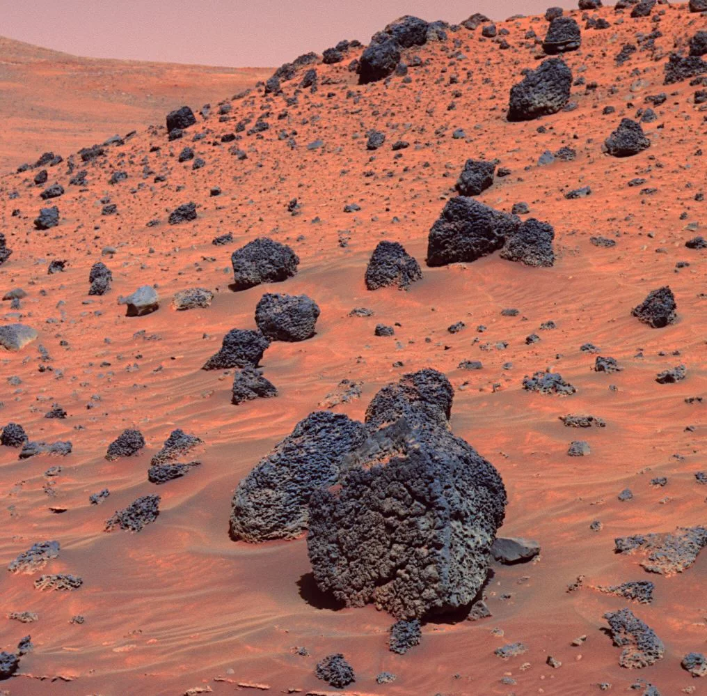 The surface of Mars should be kept pristine. - Image Credits: NASA