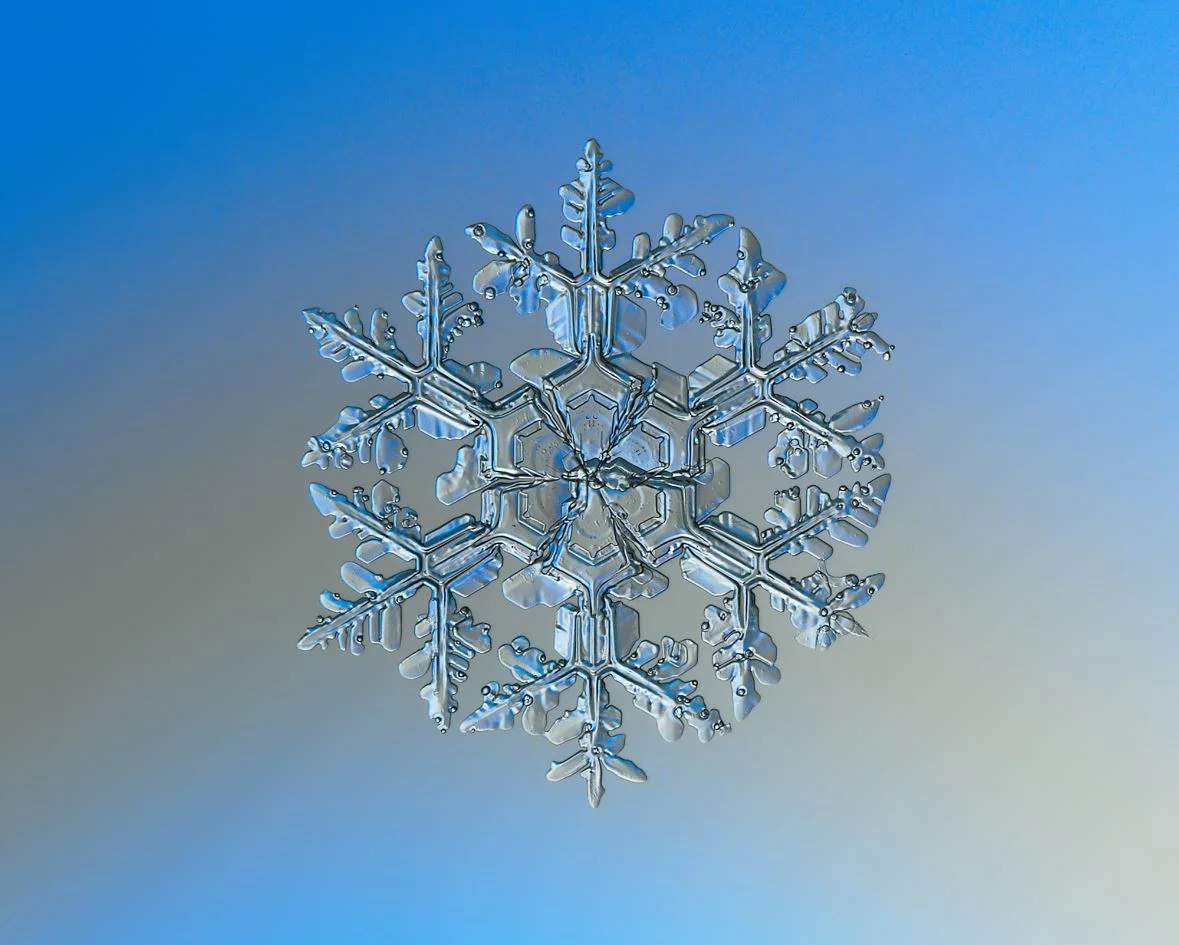 A Macro photography of natural snowflake - Image Credit: Alexey Kljatov via Wikimedia Commons