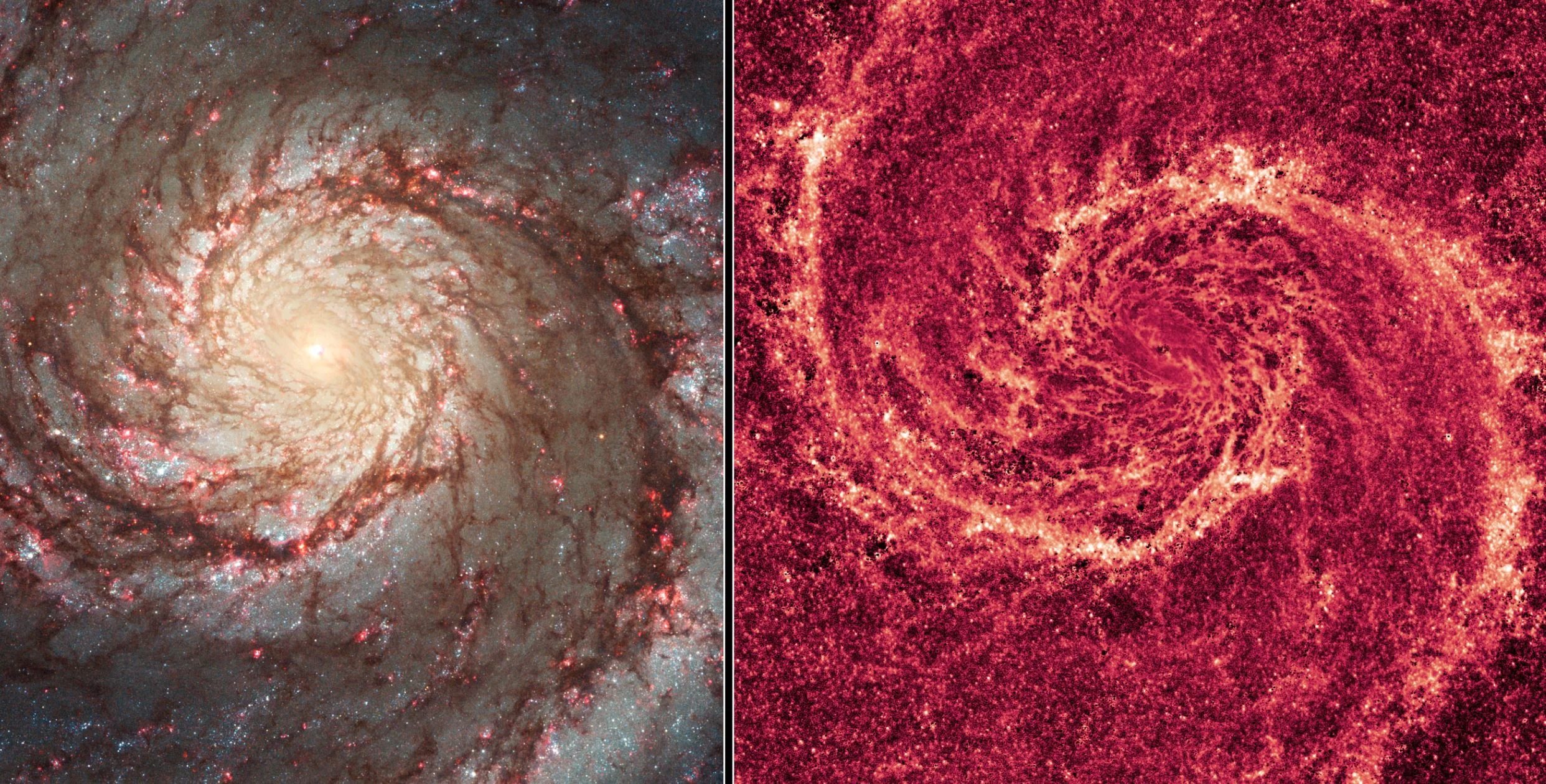 Visible light (left) and infrared image (right) of the Whirlpool Galaxy, taken by NASA’s Hubble Space Telescope. - Image Credits: NASA/ESA/M. Regan &amp; B. Whitmore (STScI), &amp; R. Chandar (U. Toledo)/S. Beckwith (STScI), &amp; the Hubble Heritag…