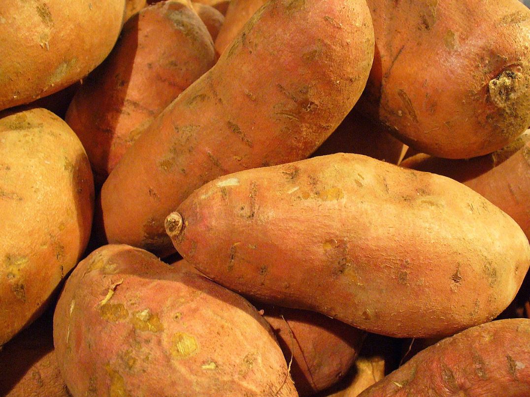 Sweet potatoes are a great source of vitamin A - Image Credit: Llez via Wikimedia Commons