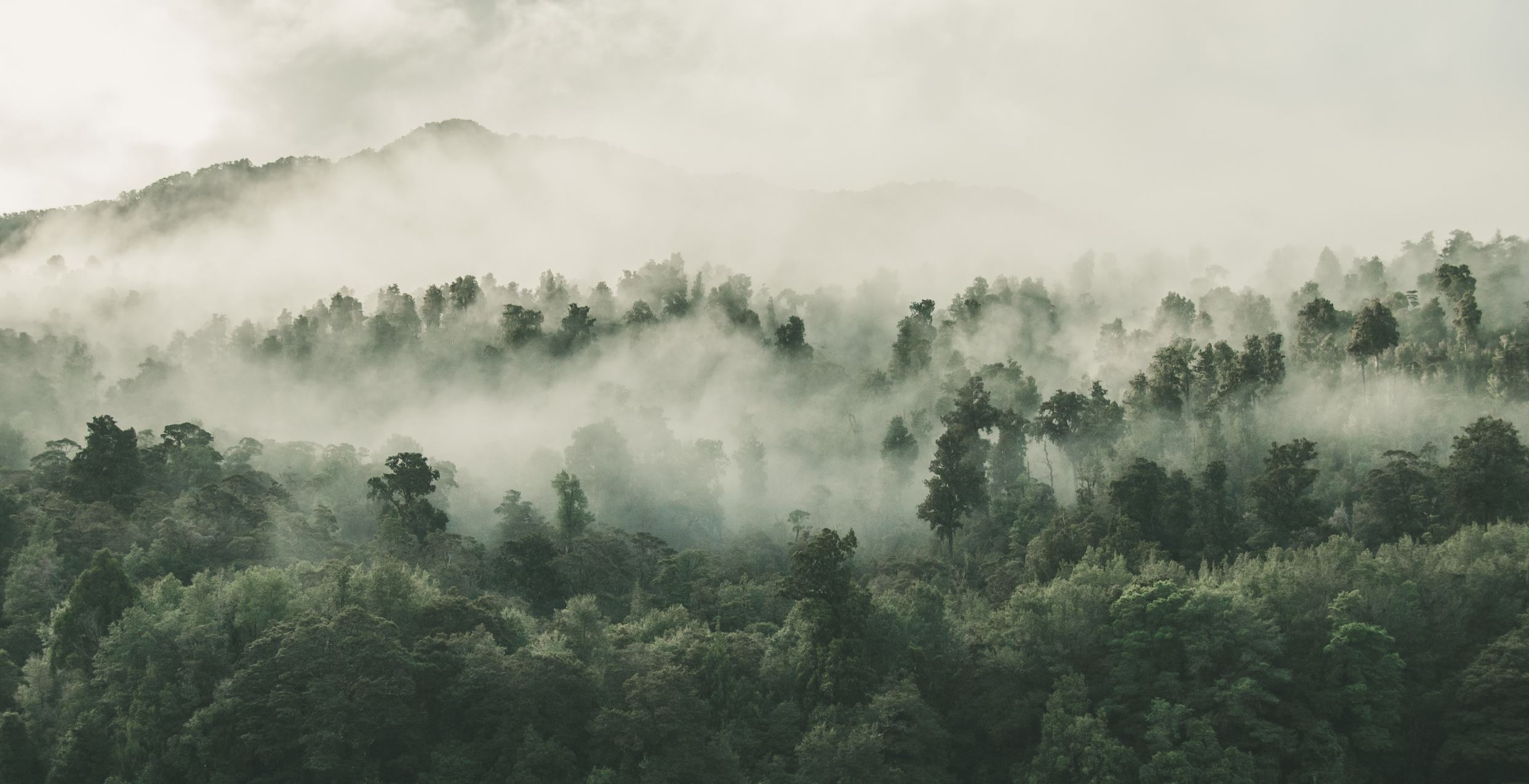 - Image Credit: Tobial Tullius via Unsplash