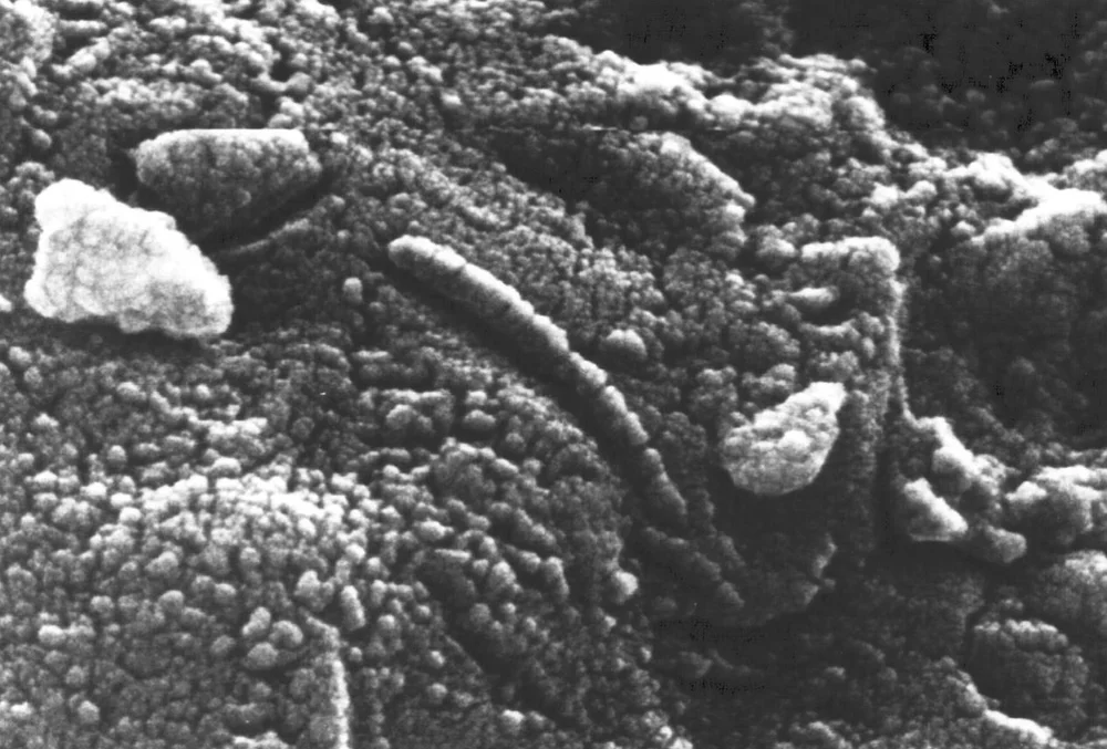 Microbial life on Mars might be hitchhiking on flying dust particles