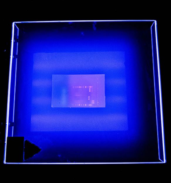 DNA visualized under UV light - Image Credit: University of South Florida