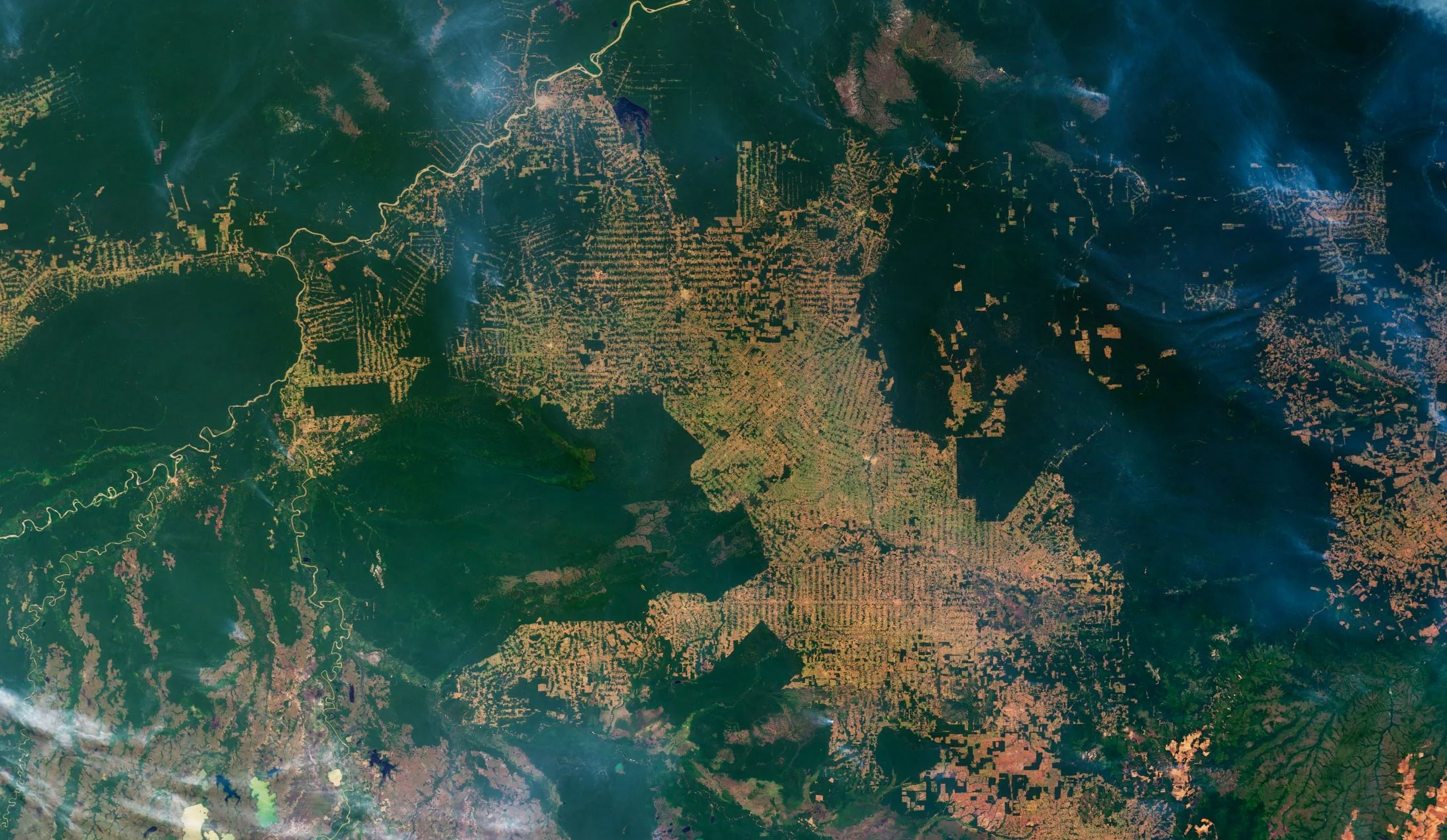 In Brazil’s rainforests, the worst fires are likely still to come
