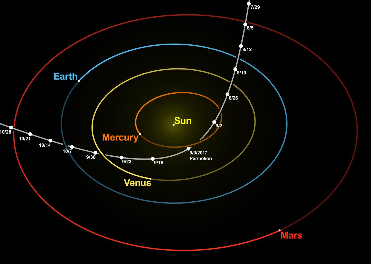Trajectory of ʻOumuamua through our Solar System - Image Credit: nagualdesign; Tomruen via Wikimedia Commons