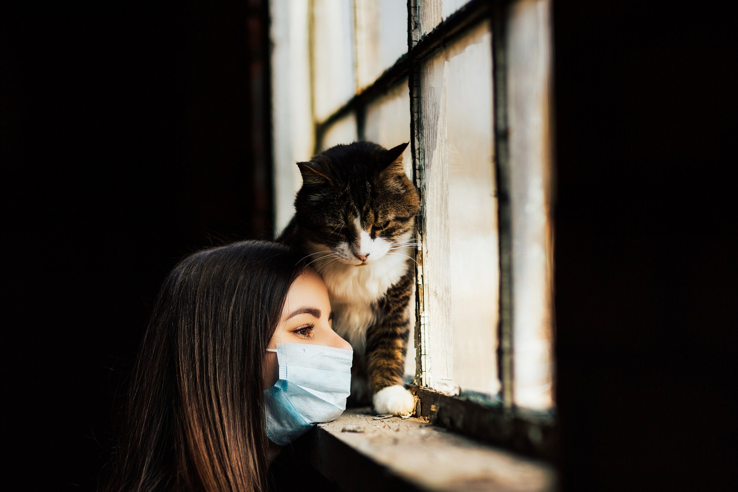 Кошка грустная песня. Грустная кошка. Грустная кошка фото. Sad Cat. Cat near the House.