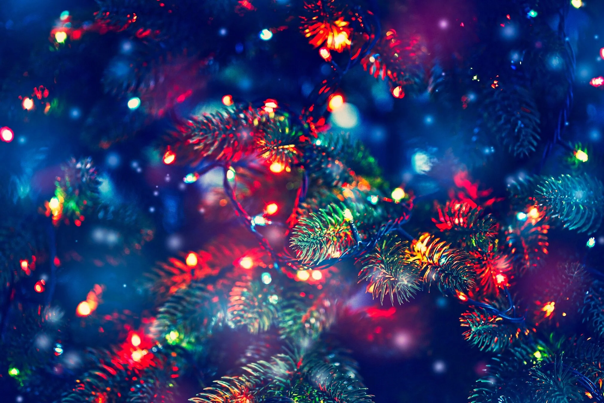 Can Christmas tree lights really play havoc with your Wi-Fi?