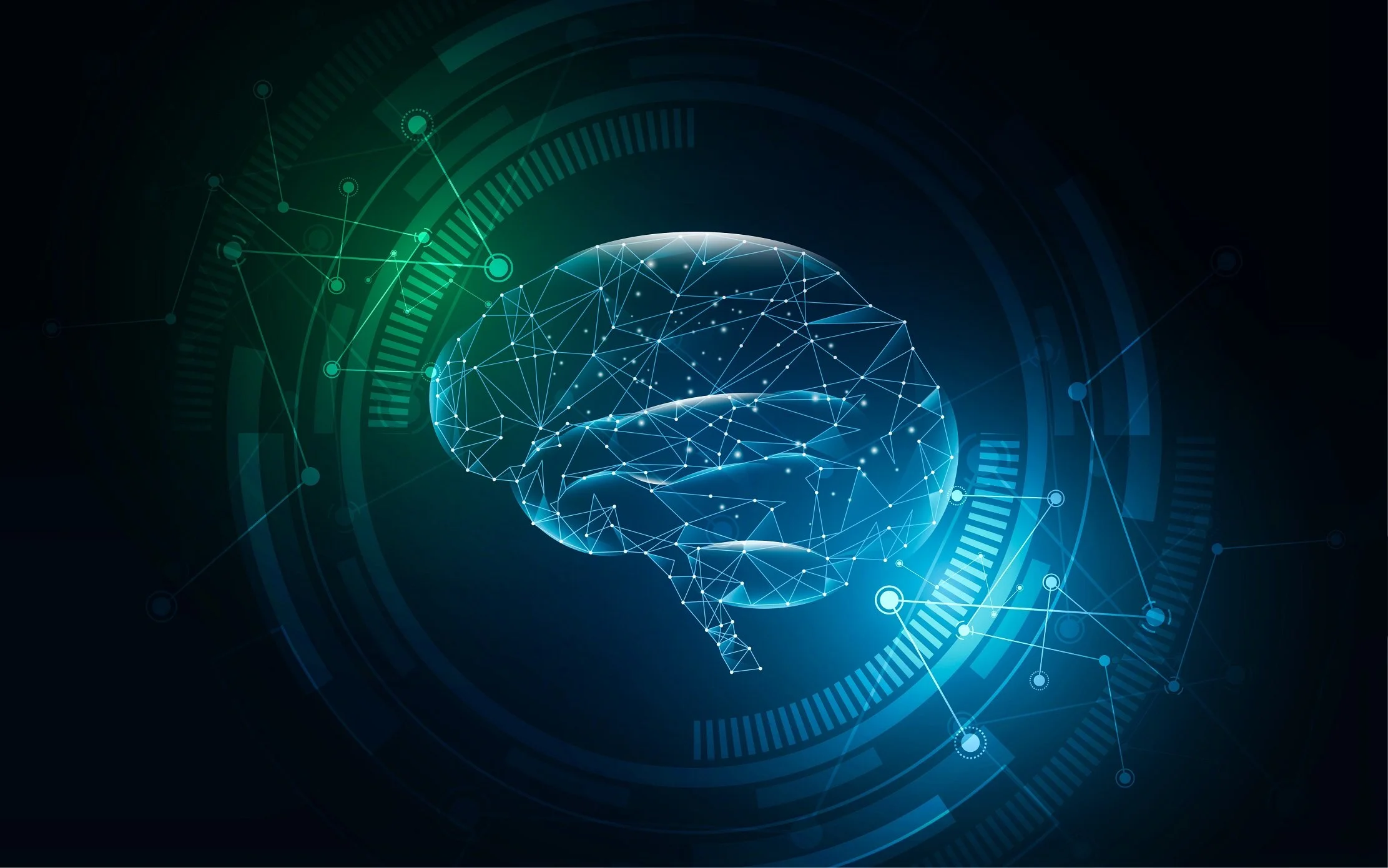 How brains do what they do is more complex than what anatomy on its own suggests