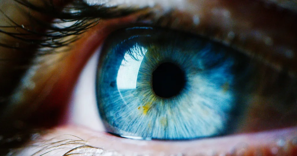 What makes us conscious?