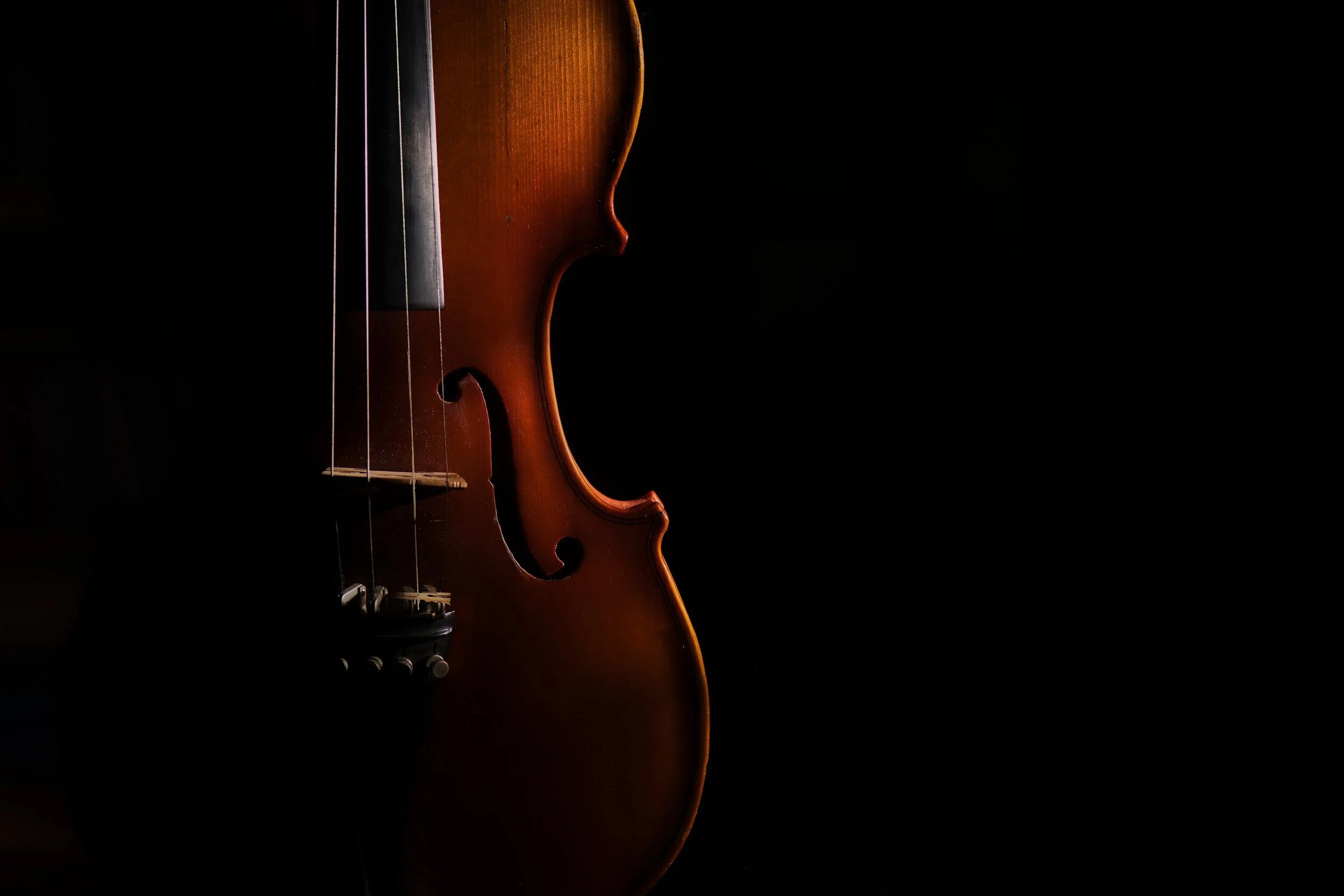 Double-blind test proves that violins made from carbon/flax fiber sound just as good as their wooden counterparts