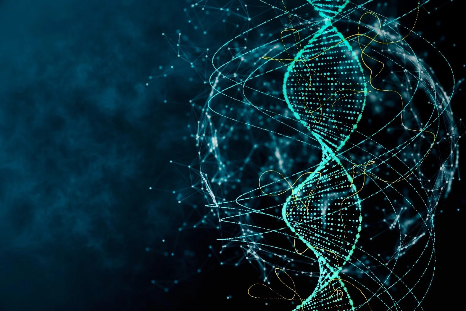 A hidden code in our DNA explains how new pieces of genes are made