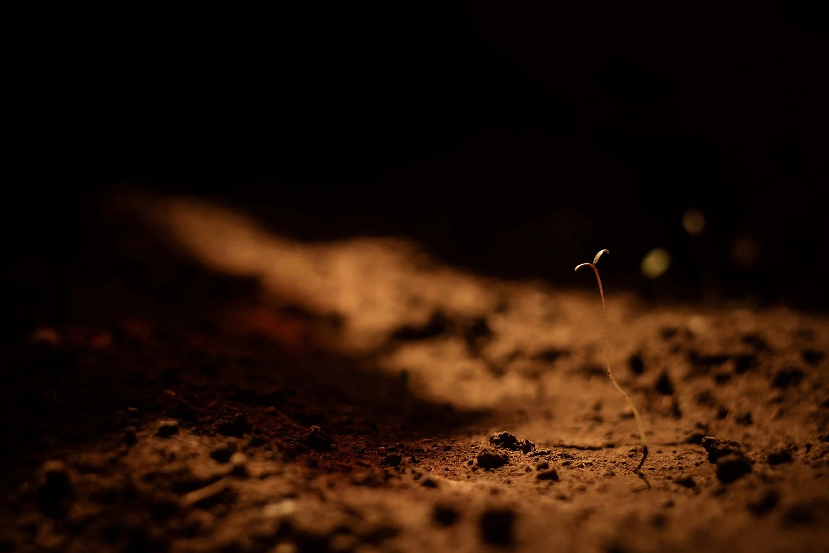 Scientists on the ISS discovered three genetic variants of bacteria that could help grow plants on Mars