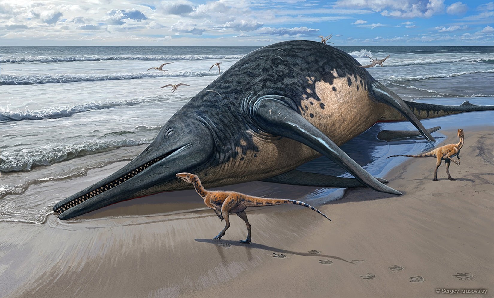 Giant Among Giants: Possibly the Largest Marine Reptile Ever Unearthed