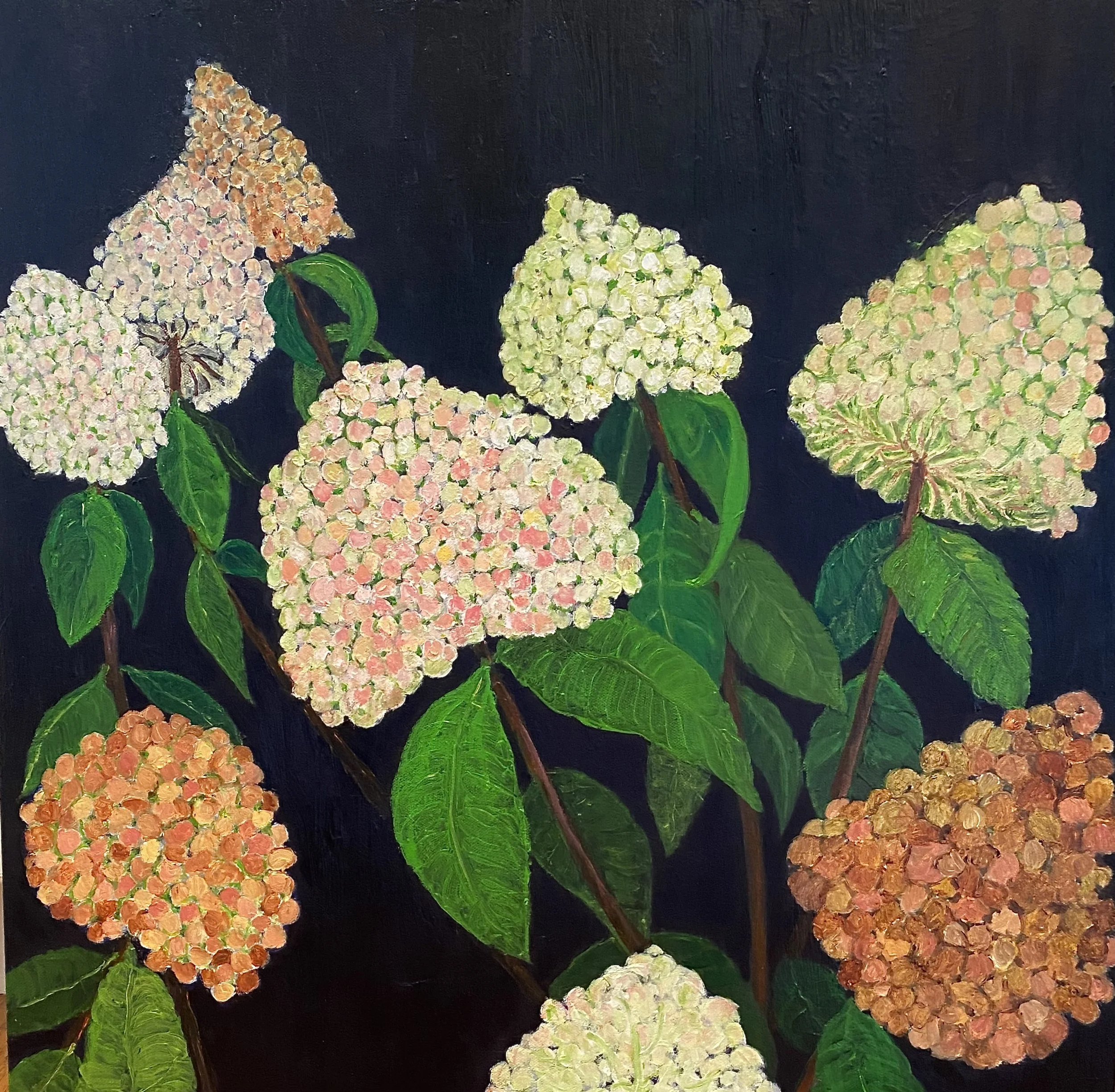 Hydrangeas