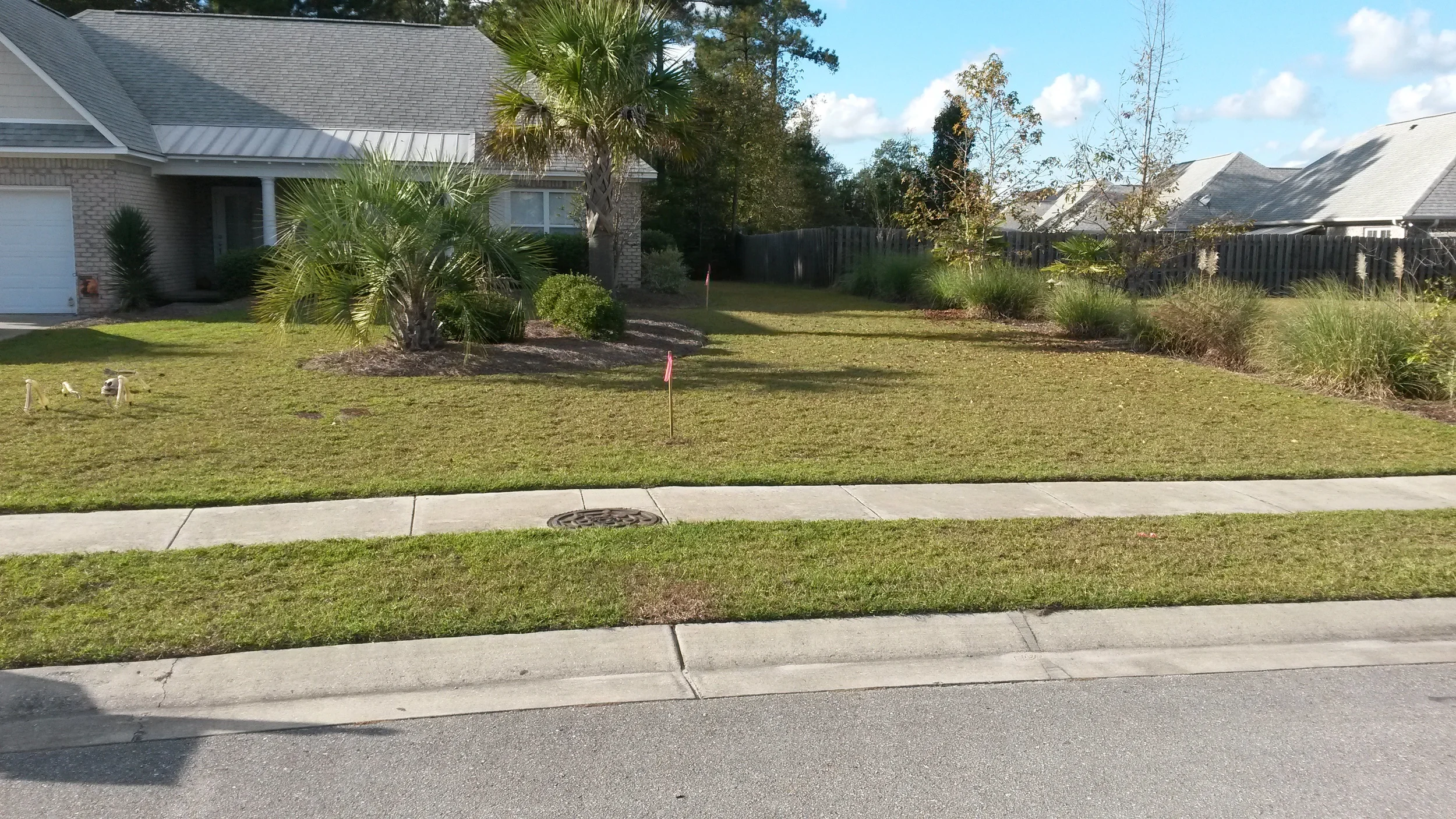 20151107_145719.jpg