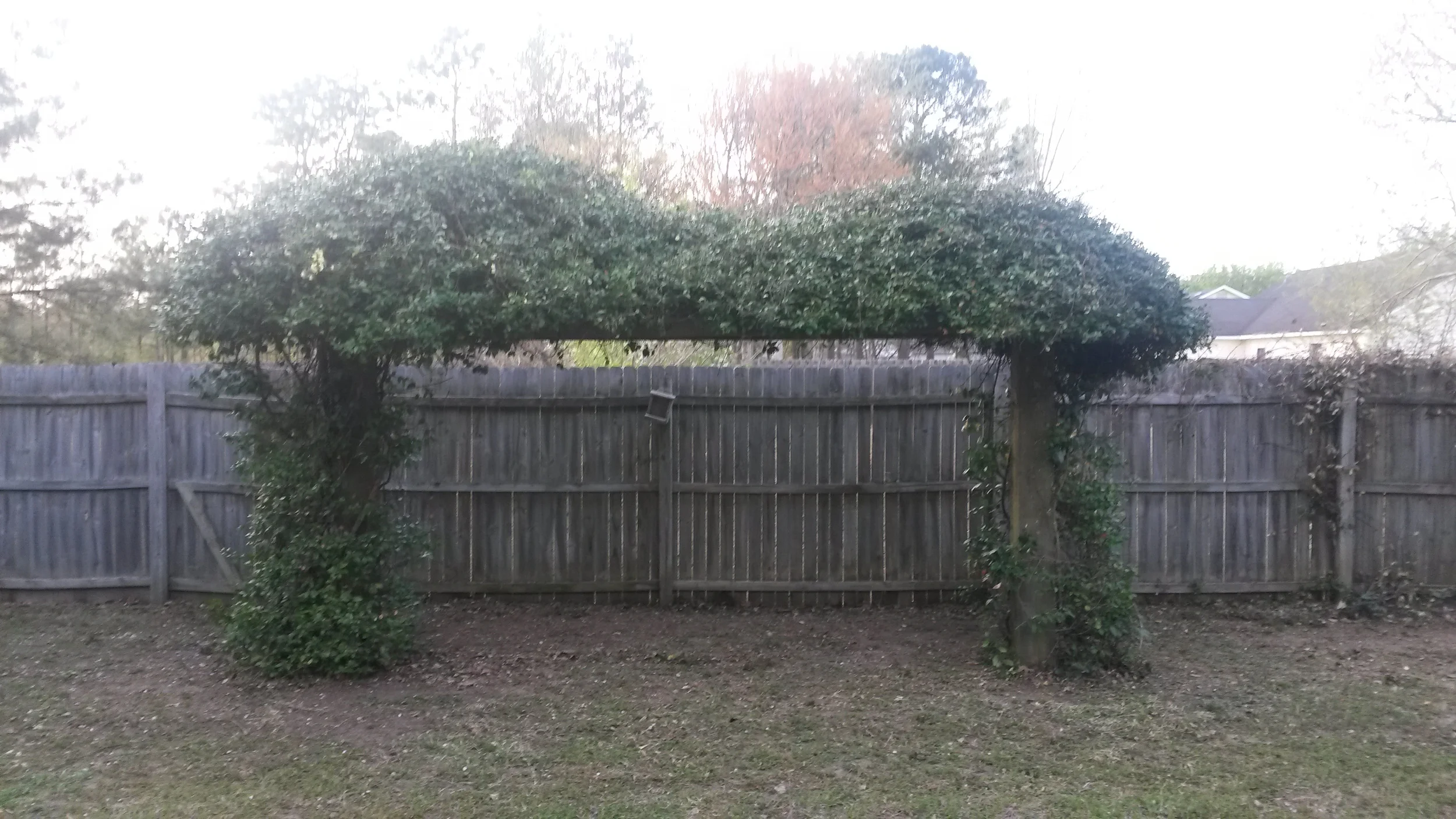 20150403_184428.jpg