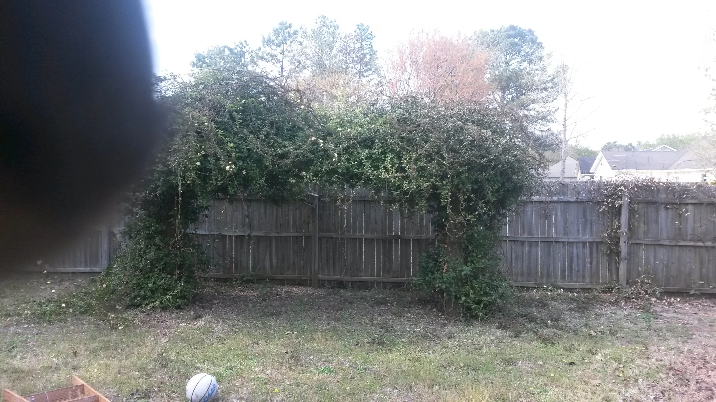 20150403_155442.jpg