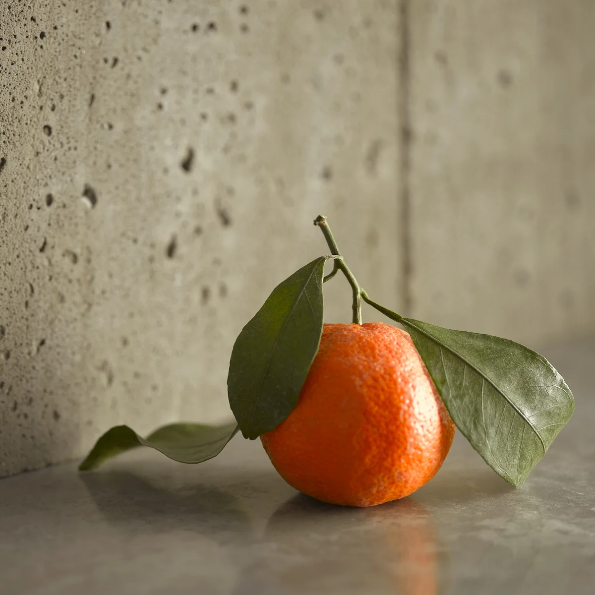 Still Life_4Website-2-2.jpg