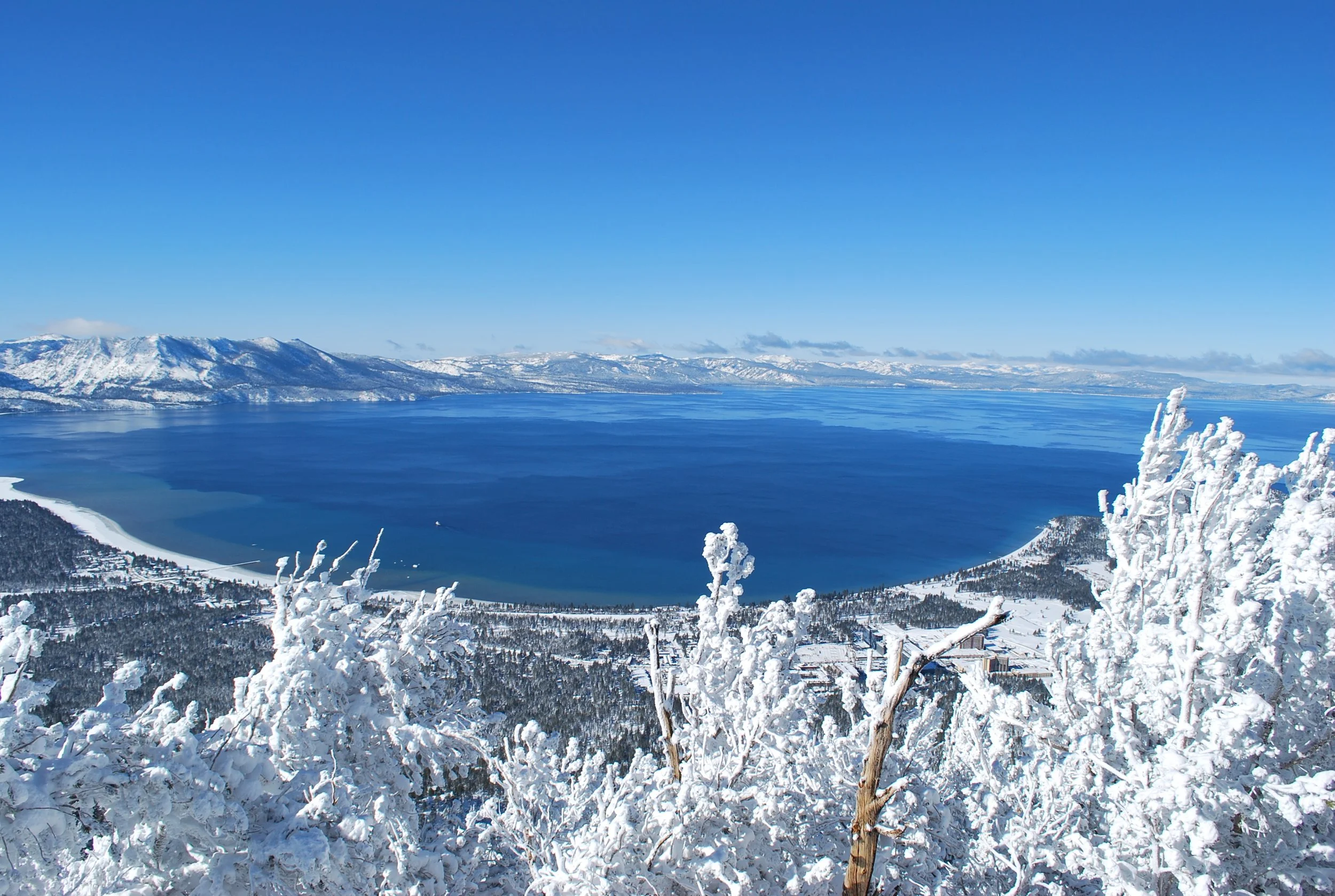 Snowy Lake Tahoe.jpg