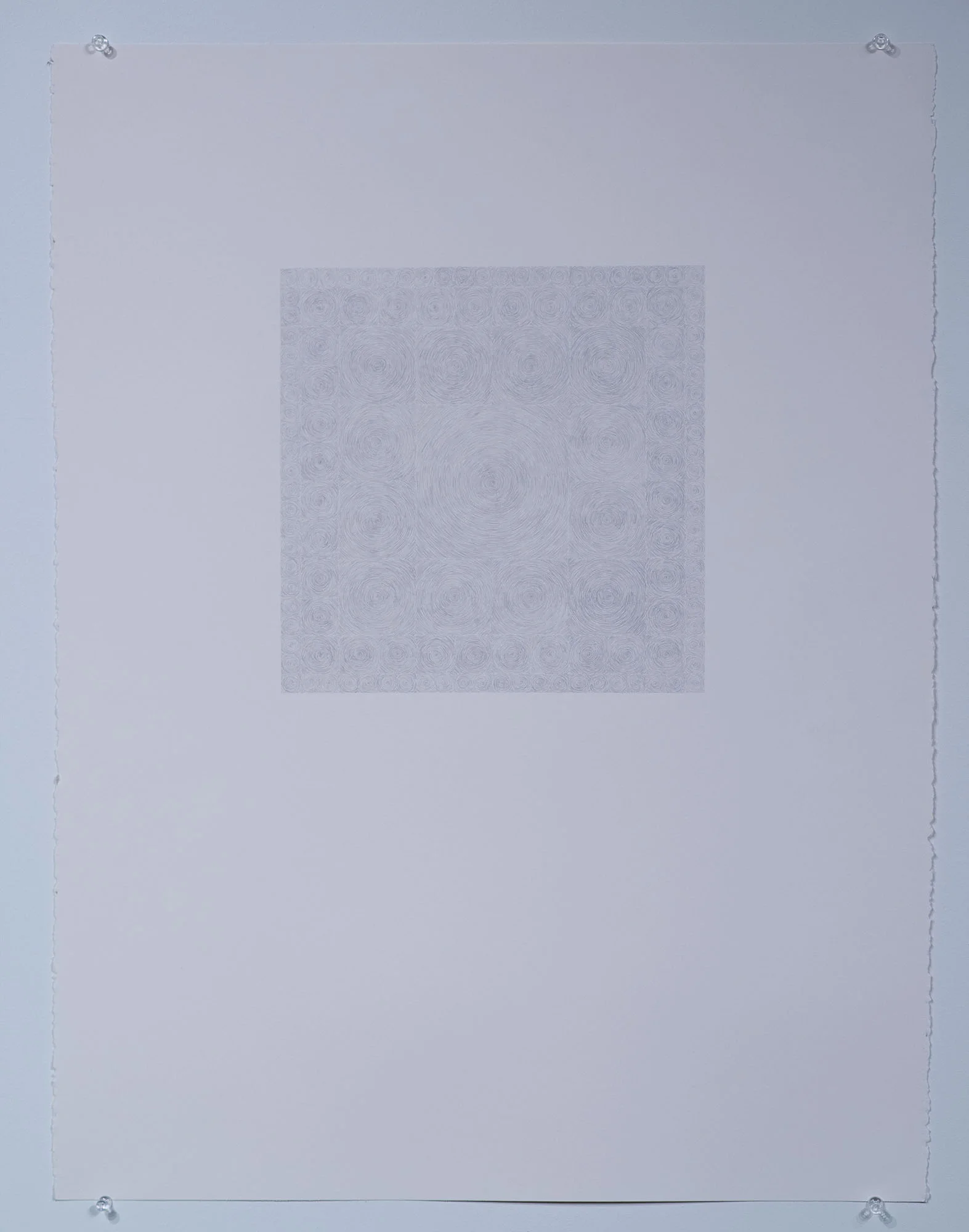 PLB_0588small.jpg