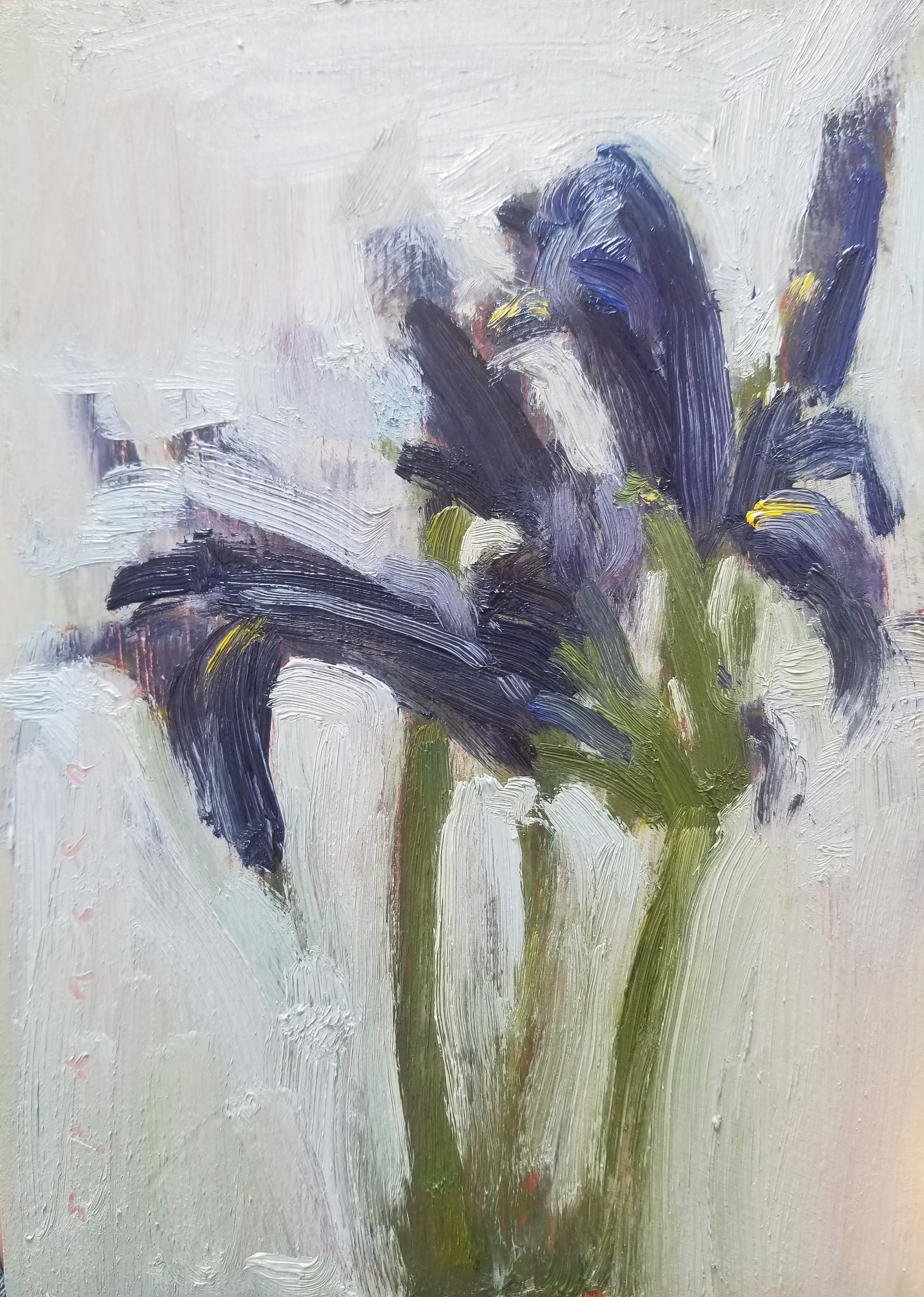 Easter Irises, 5 x 7, oils, 2021.jpg