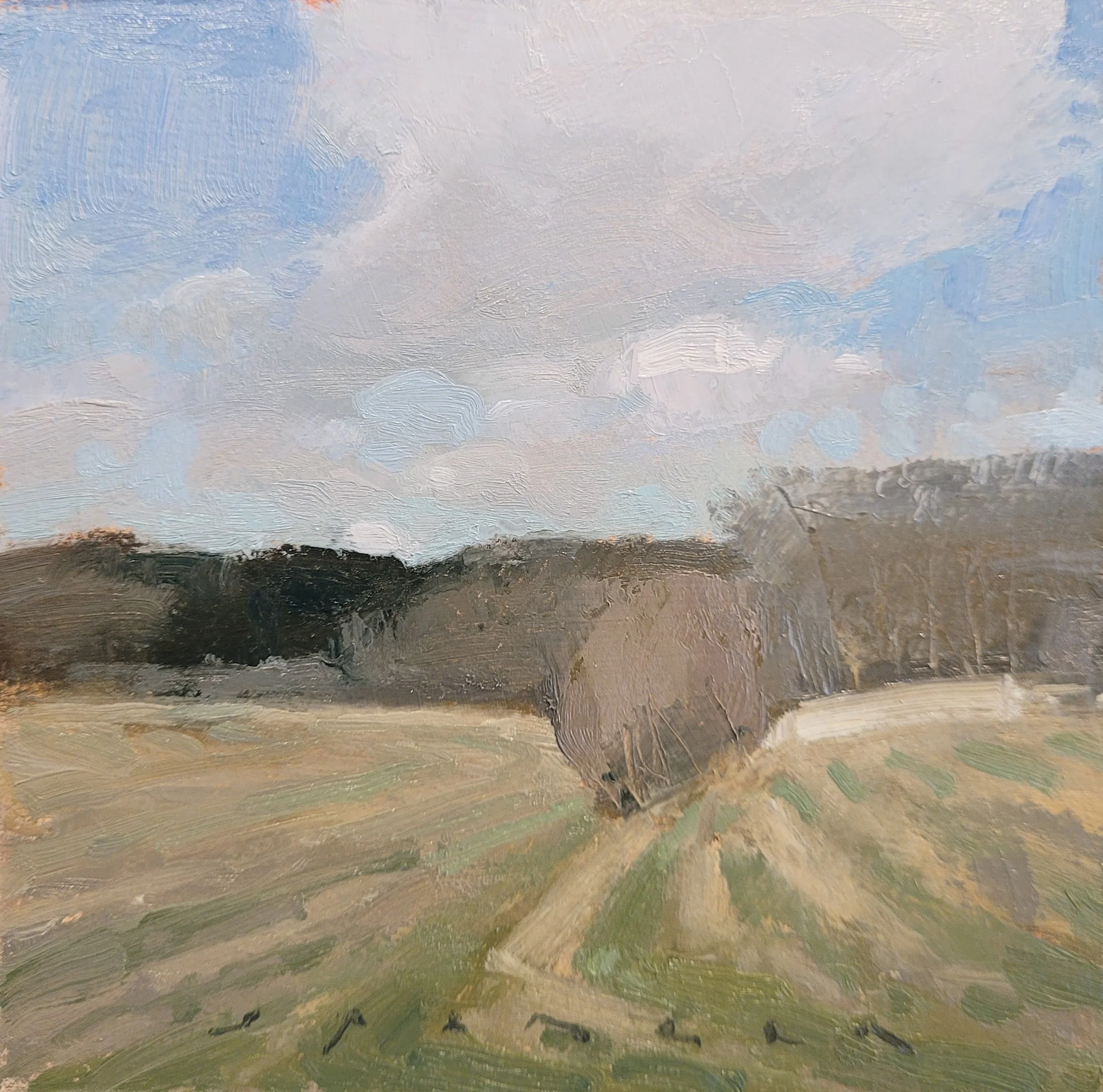 Early Spring in Rehoboth
