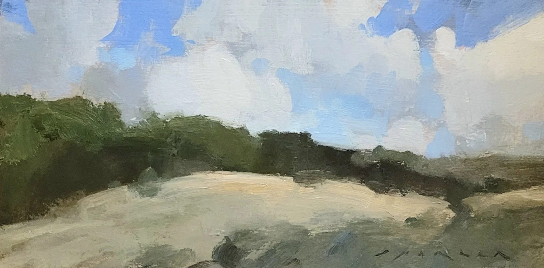 Warm Sands at Westduinpark 6x12 oil on panel 2026.jpg