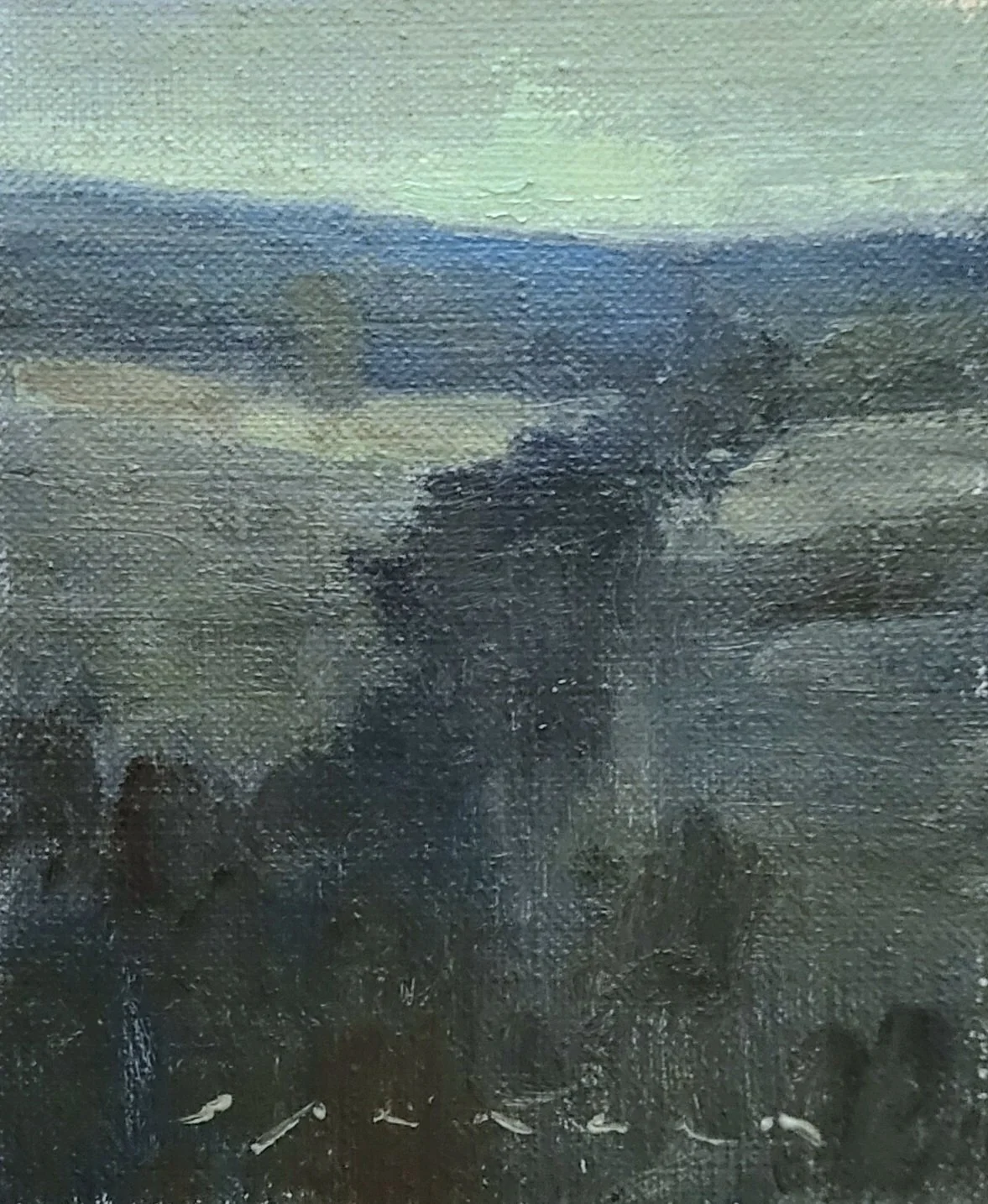 Cool Evening Light 4x5 oil on panel 2026.jpg