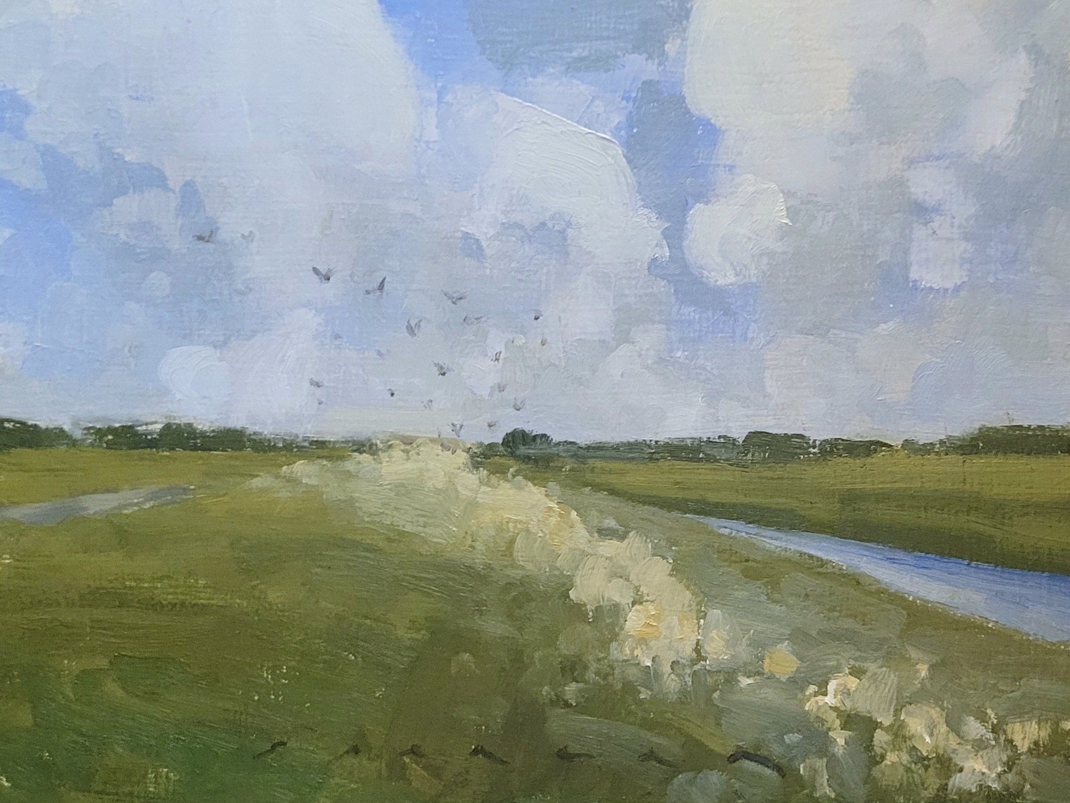 Birds Taking Flight 6x8 oil on panel 2025.jpg