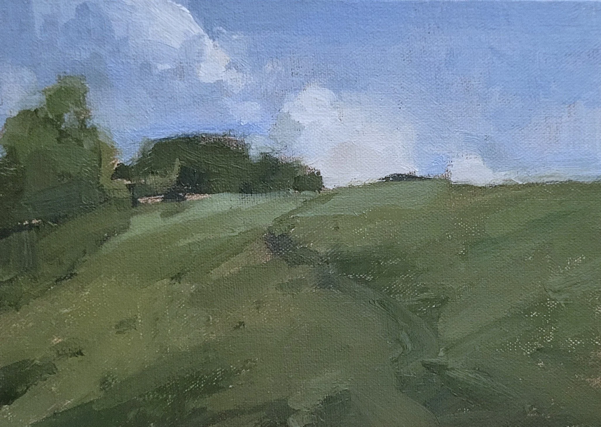 Hidden From the Canal 5x7 oil on panel 2025.jpg