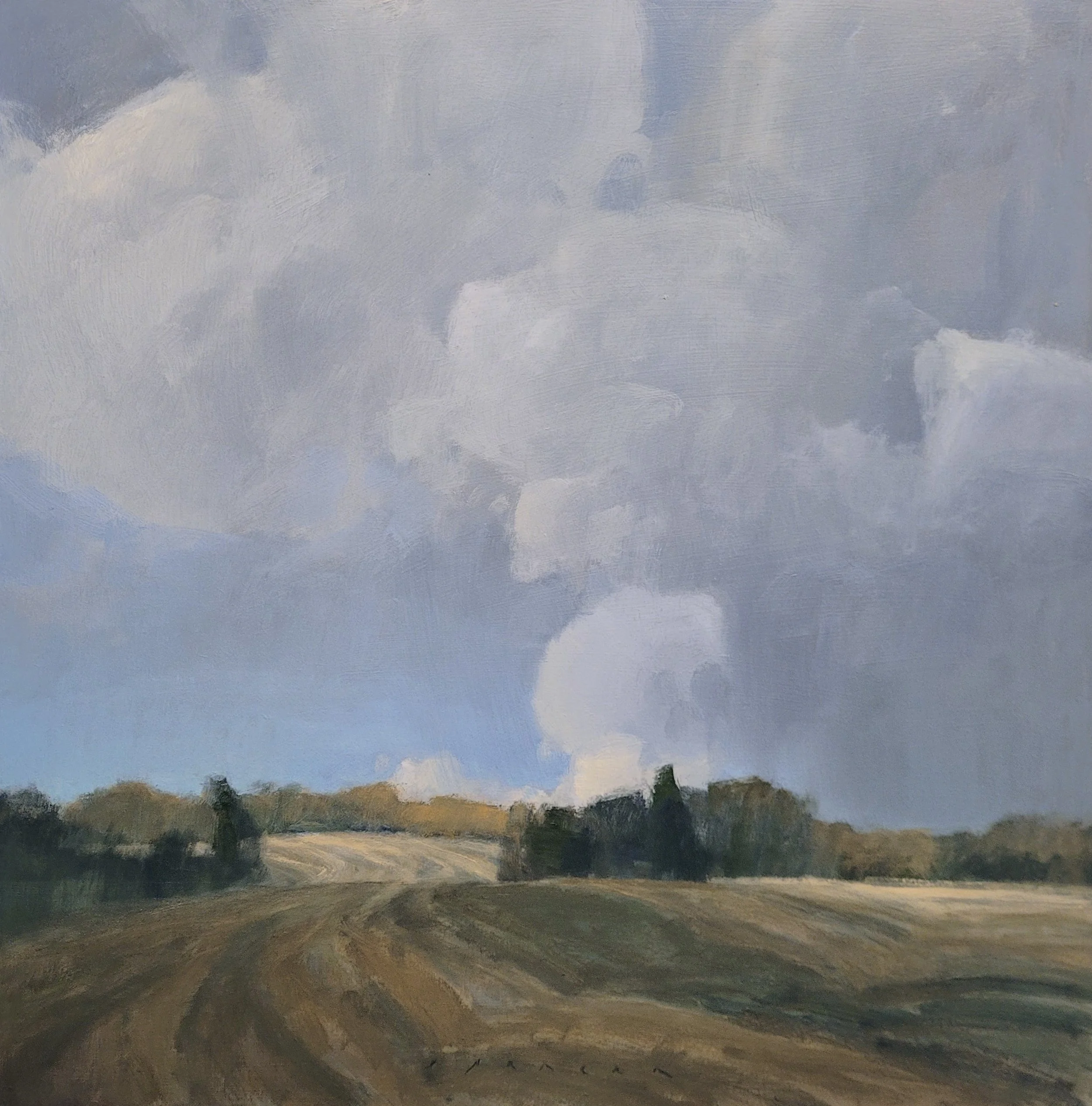 Early Harvest 24x24 oil 2024.jpg