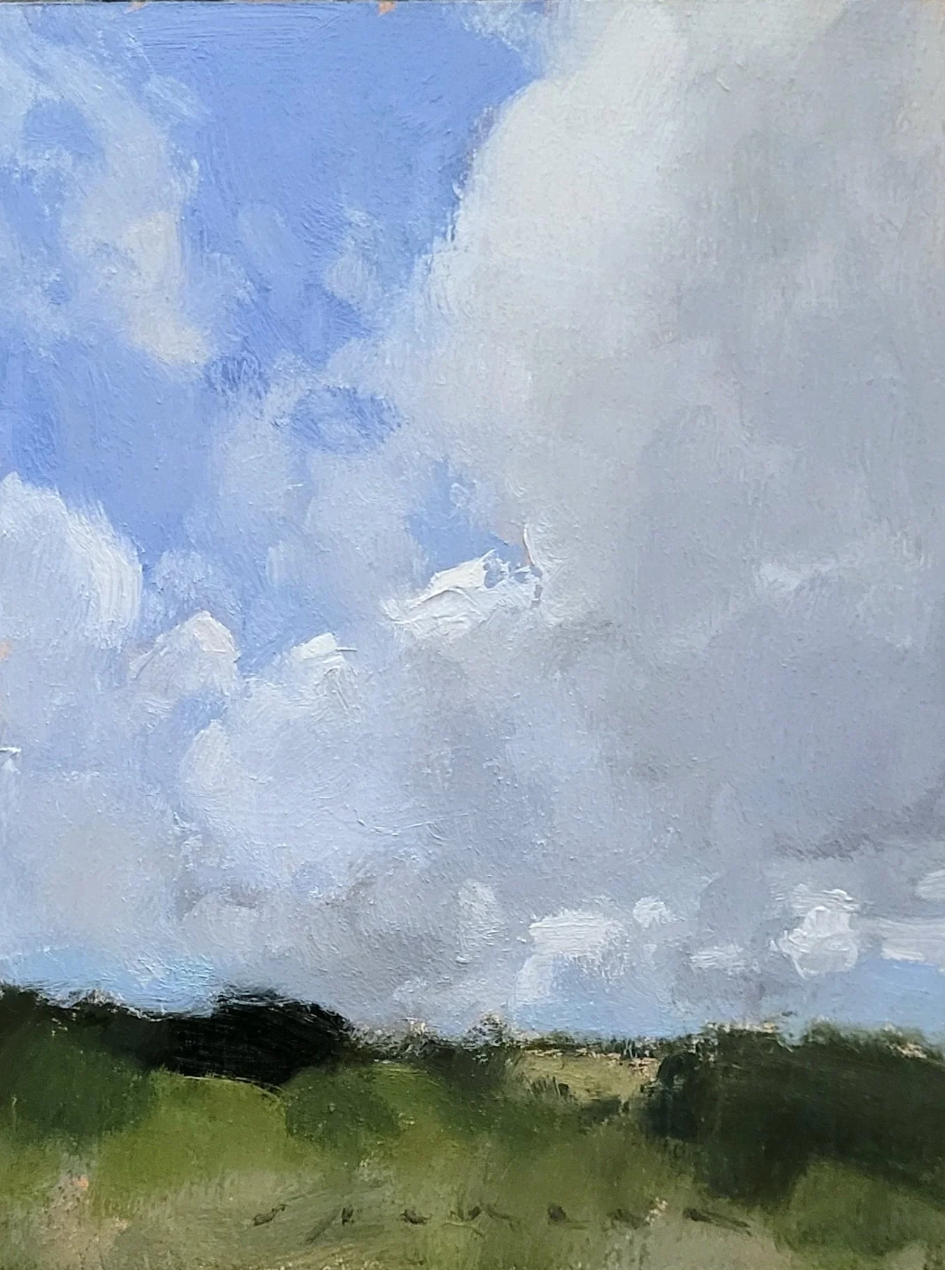 Bounty of Sky 6x8 oil on panel 2026.jpg