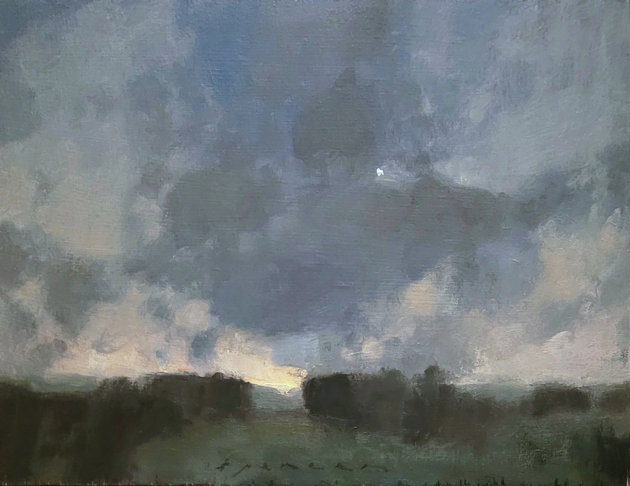 Hidden Star 10x13 oil on panel 2026.jpg