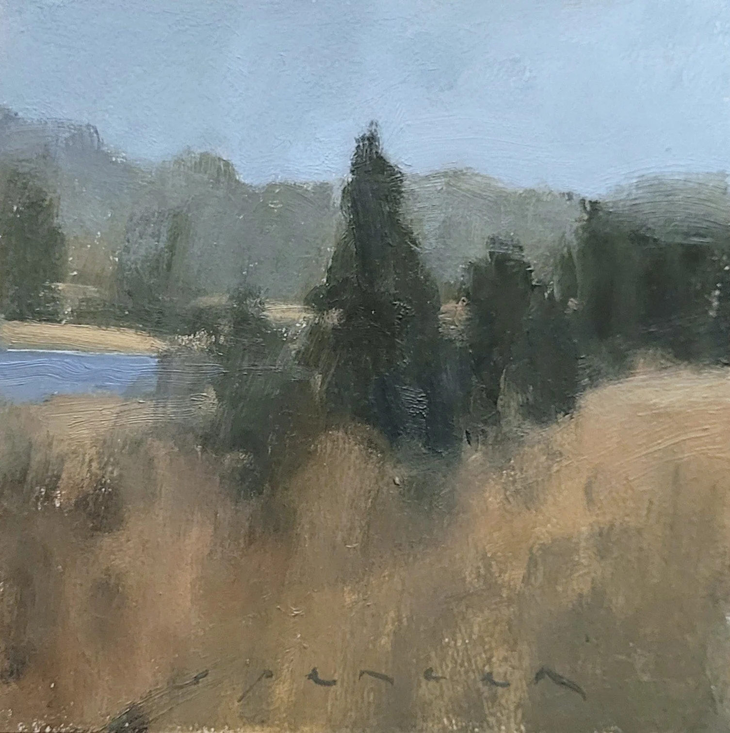 Along Poppasquash 6x6 oil on panel 2025.jpg