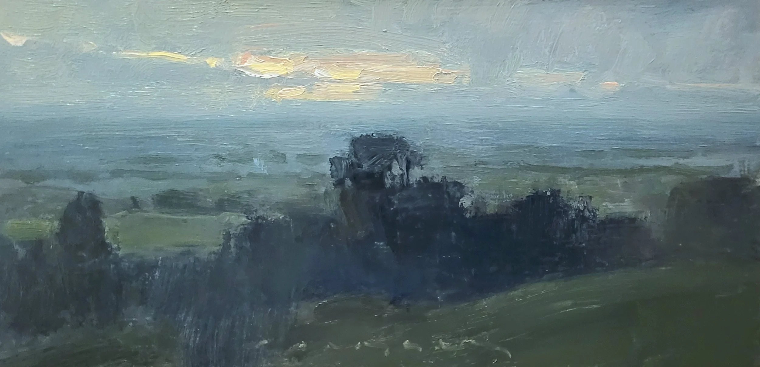 Overlook 4x8 oil on panel 2026.jpg