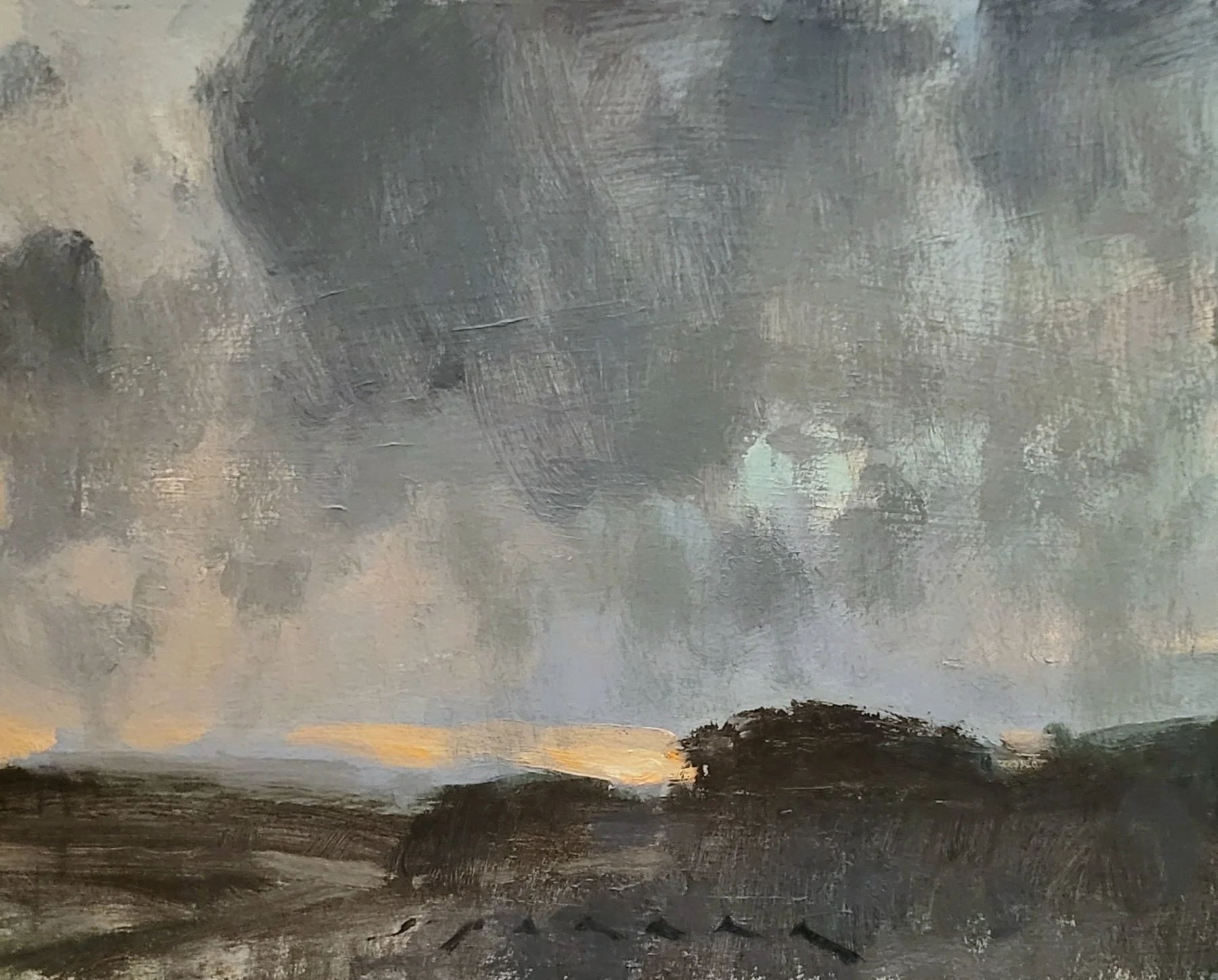 Chasing Light 8x10 oil on panel 2026.jpg